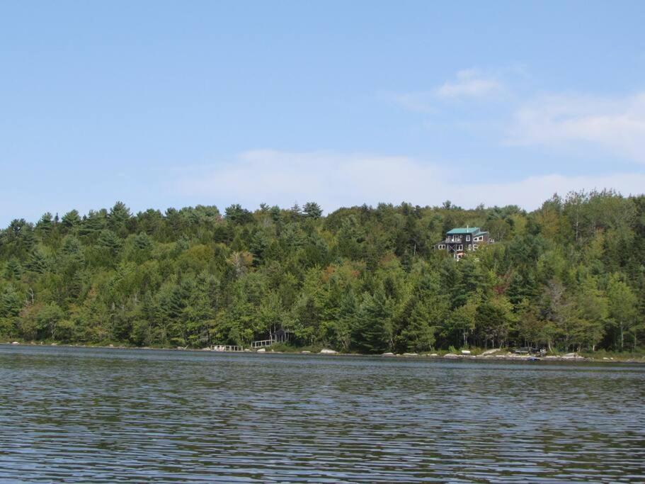 The Eagle's Landing on Minamkeak Lake - A Serene Escape