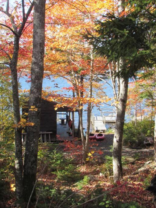 The Eagle's Landing on Minamkeak Lake - A Serene Escape