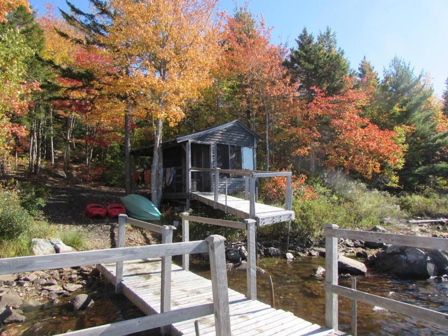 The Eagle's Landing on Minamkeak Lake - A Serene Escape