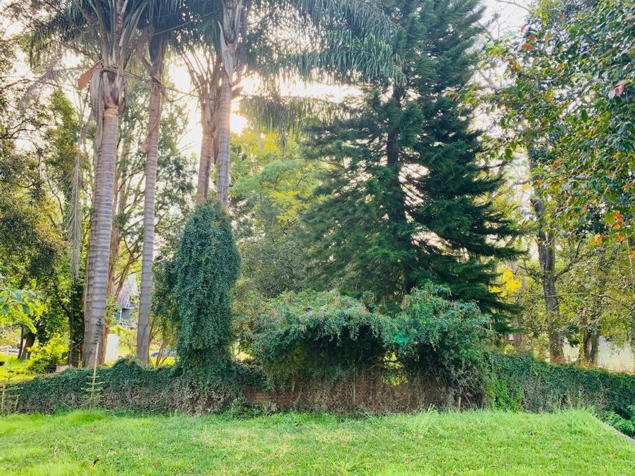 Hawkesbury Wisemans Ferry - Private riverside oasis