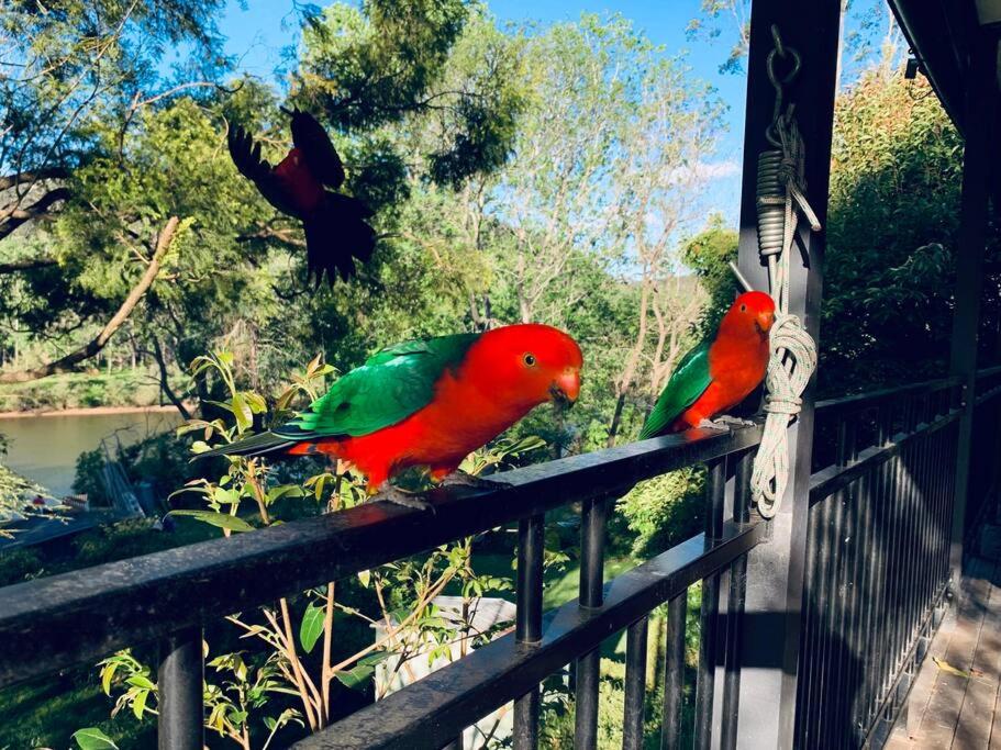 Hawkesbury Wisemans Ferry - Private riverside oasis