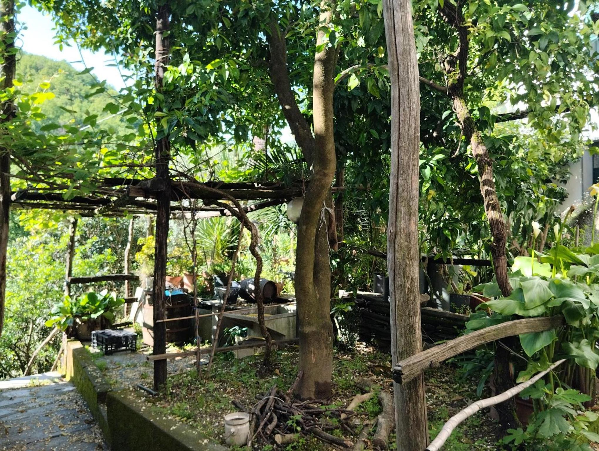 other