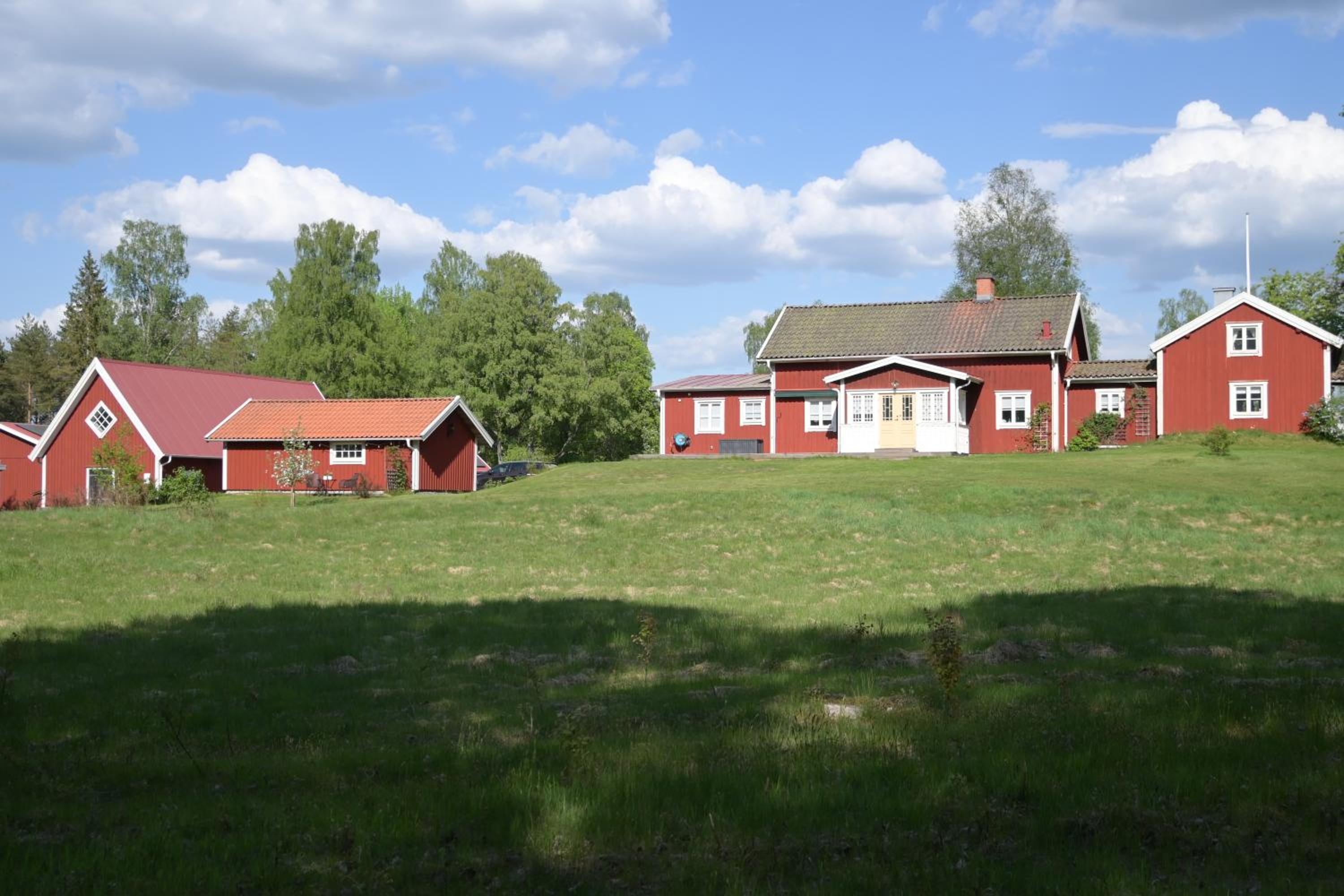Photo 24