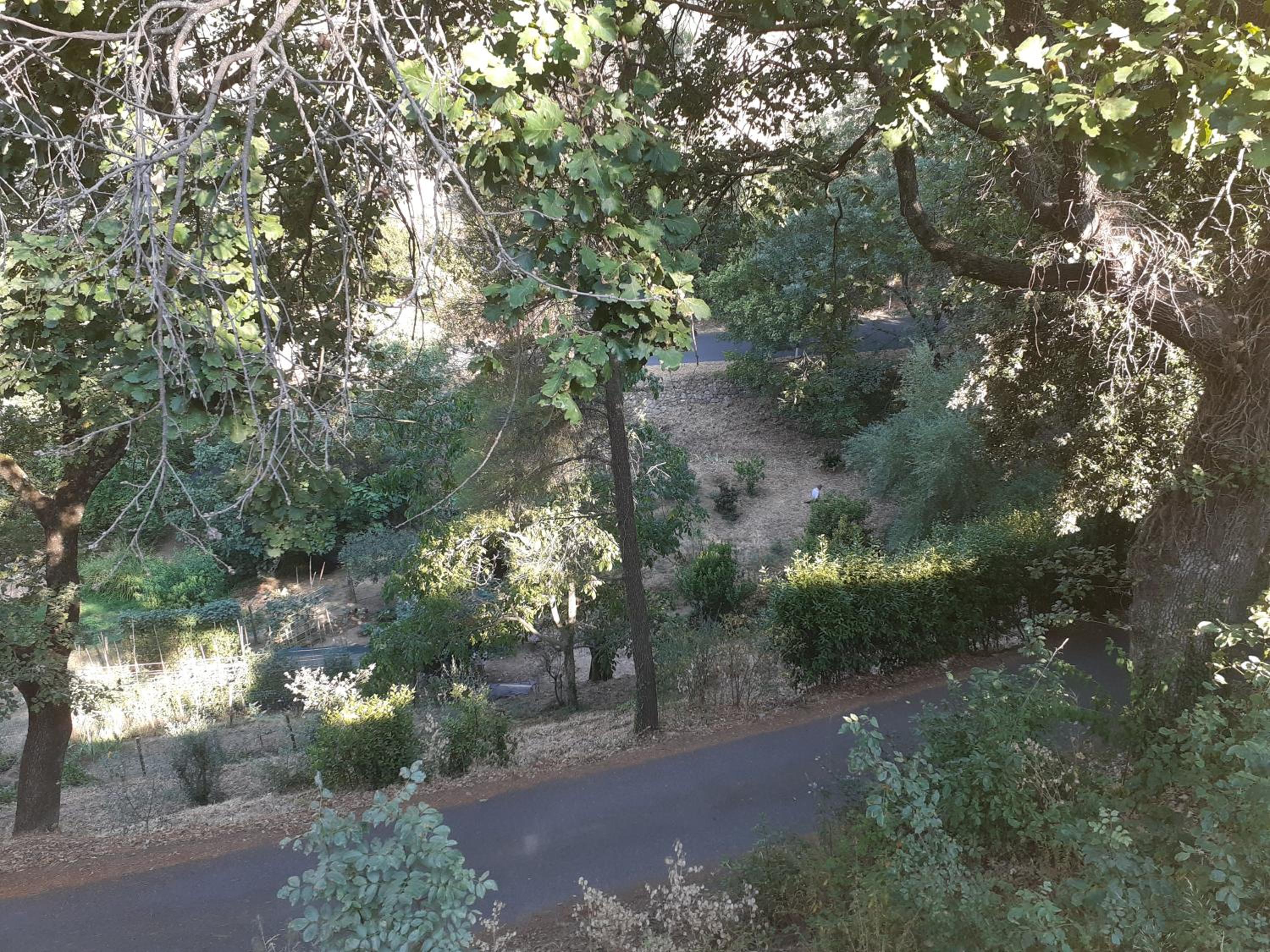 Appartamenti in Borgo