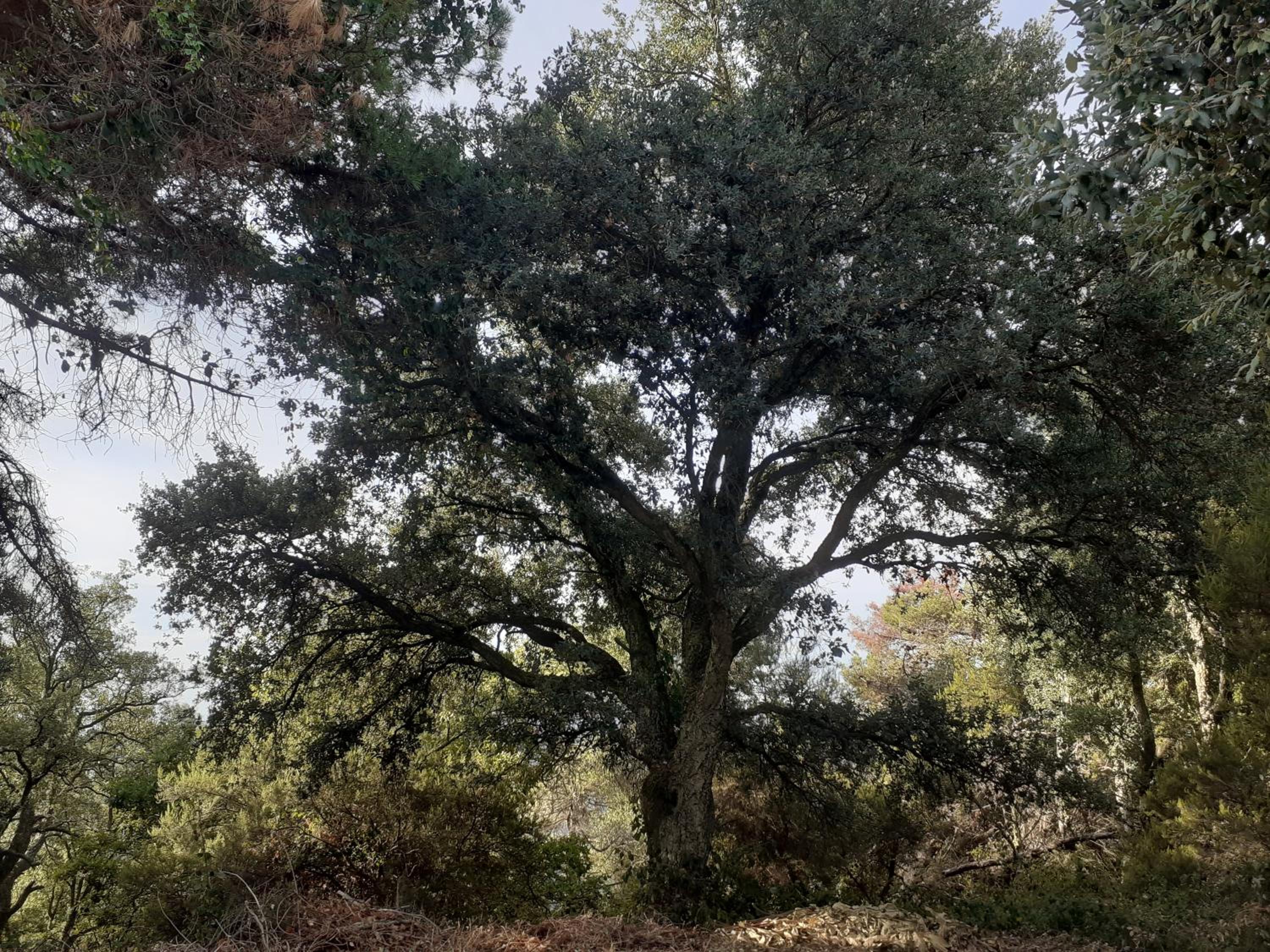 Appartamenti in Borgo