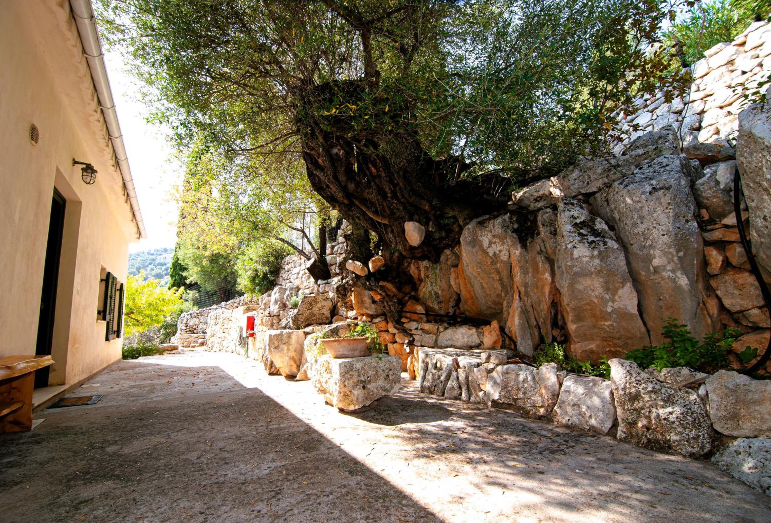 Villa Kounouvato