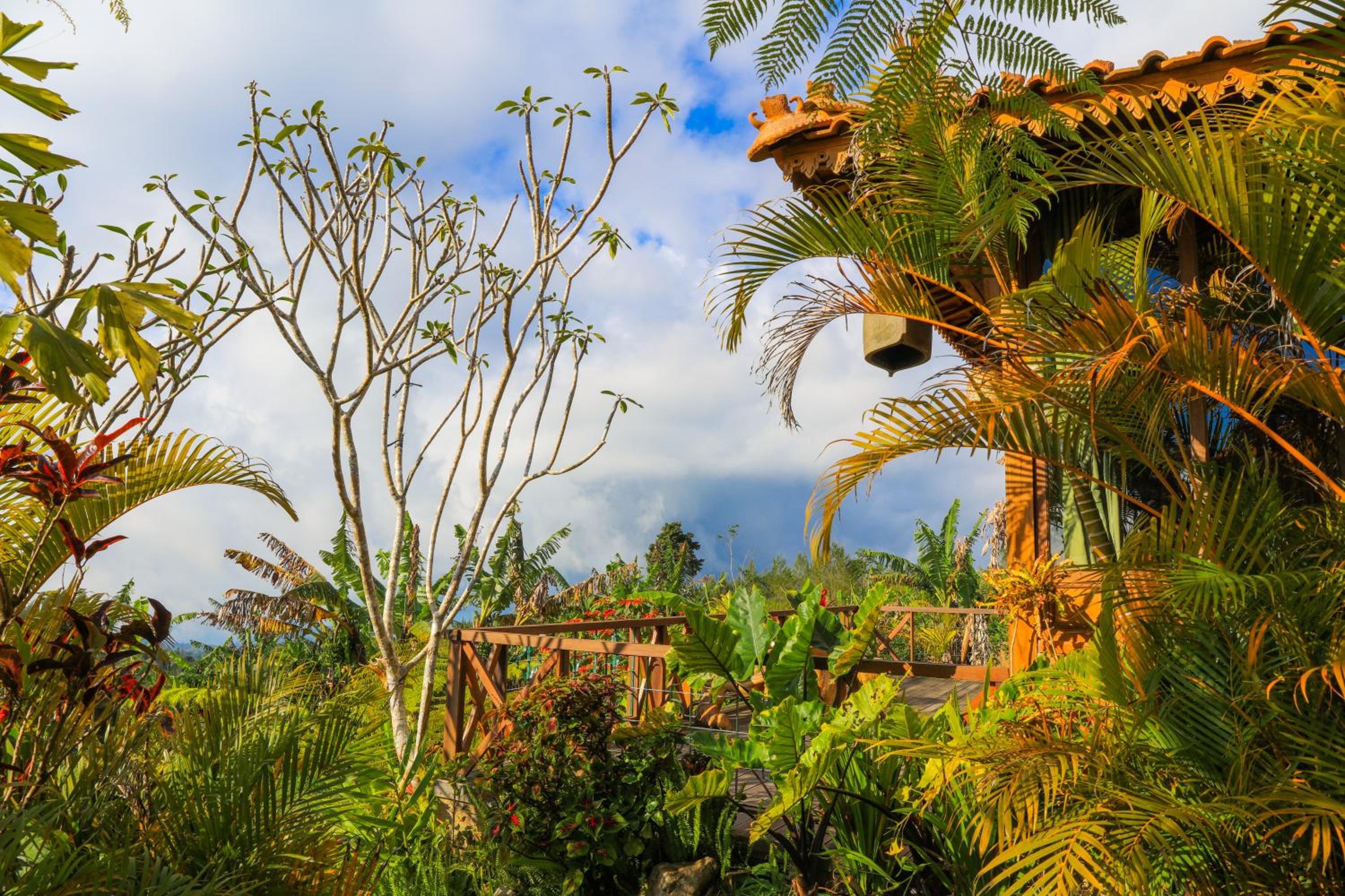 Pondok Kawinaya