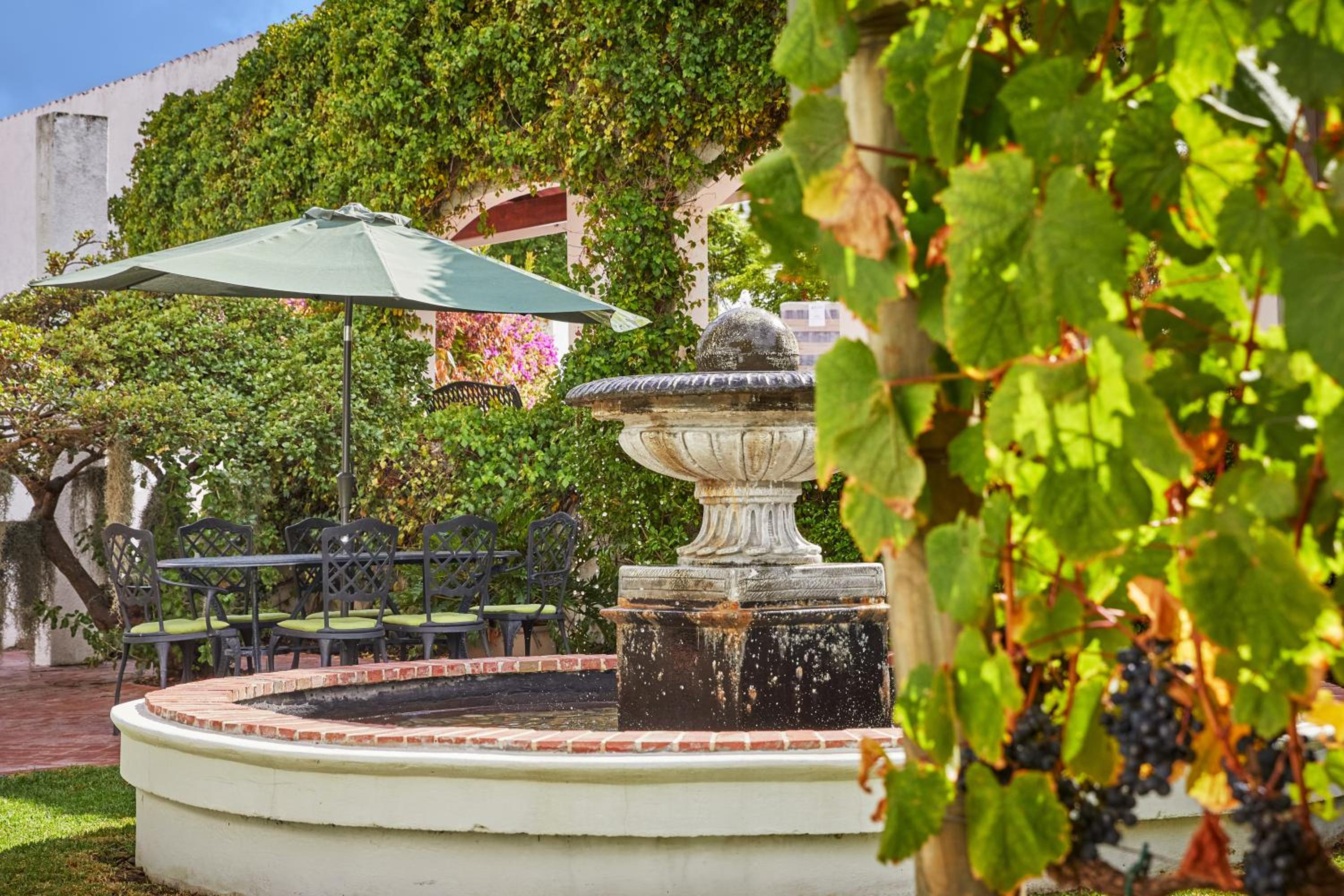 Deux Frères Wine Estate & Luxury Villas - Image 2