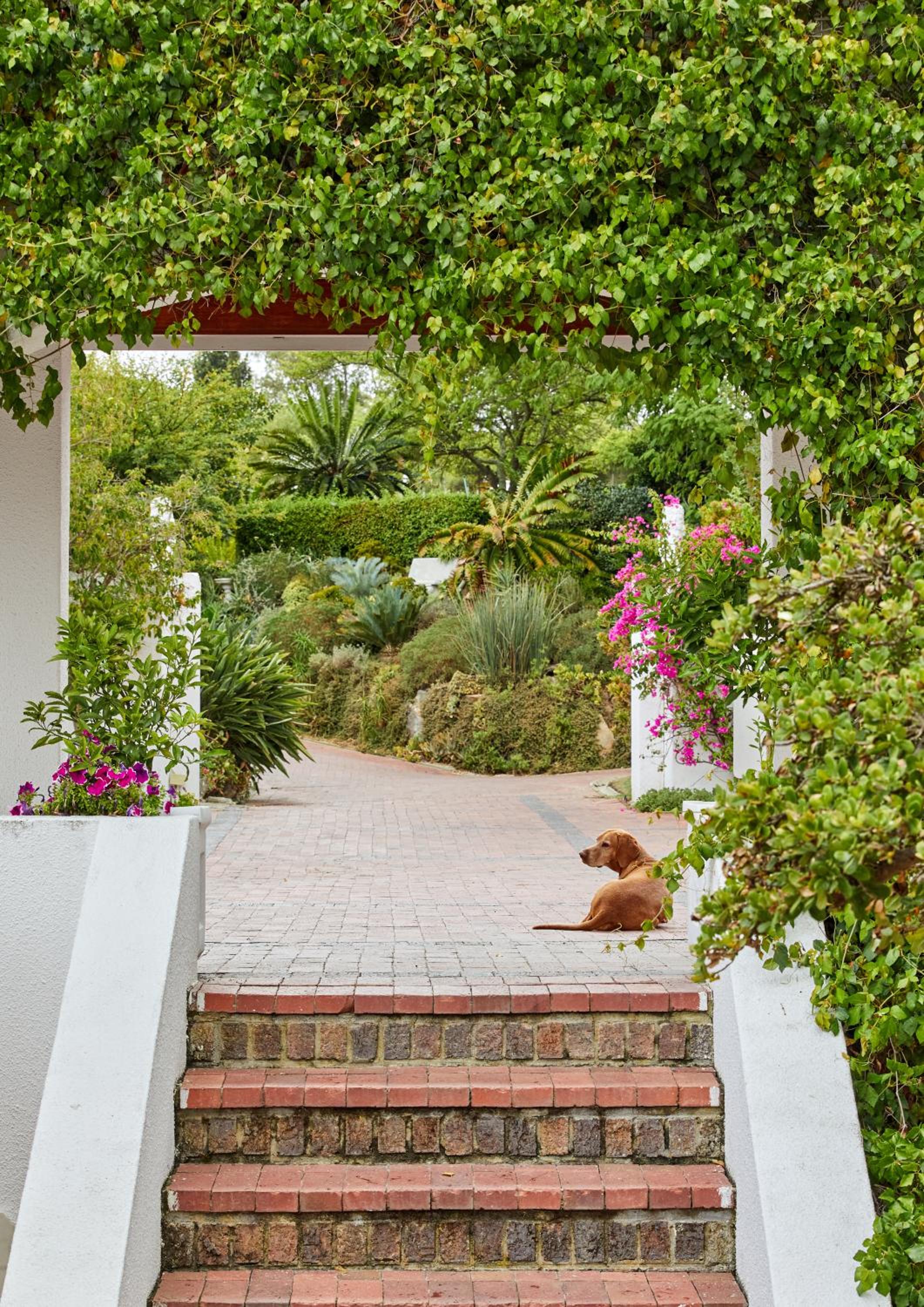 Deux Frères Wine Estate & Luxury Villas - Image 5