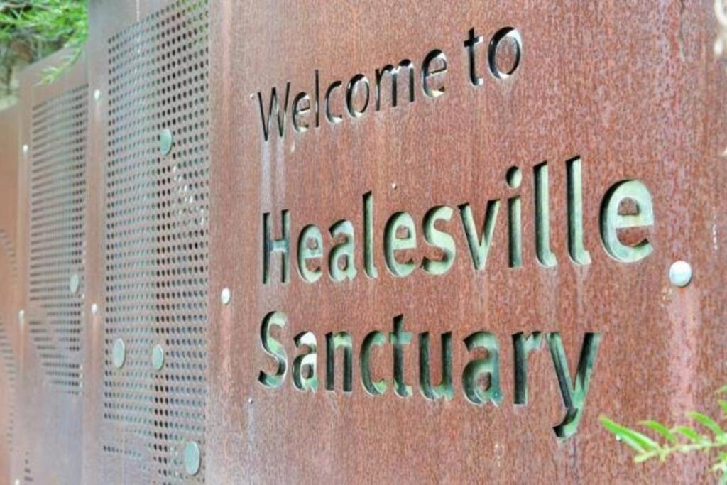 Gloria of Healesville