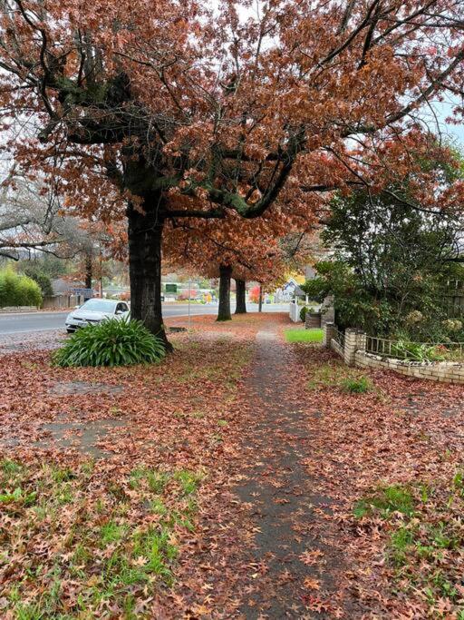 Gloria of Healesville