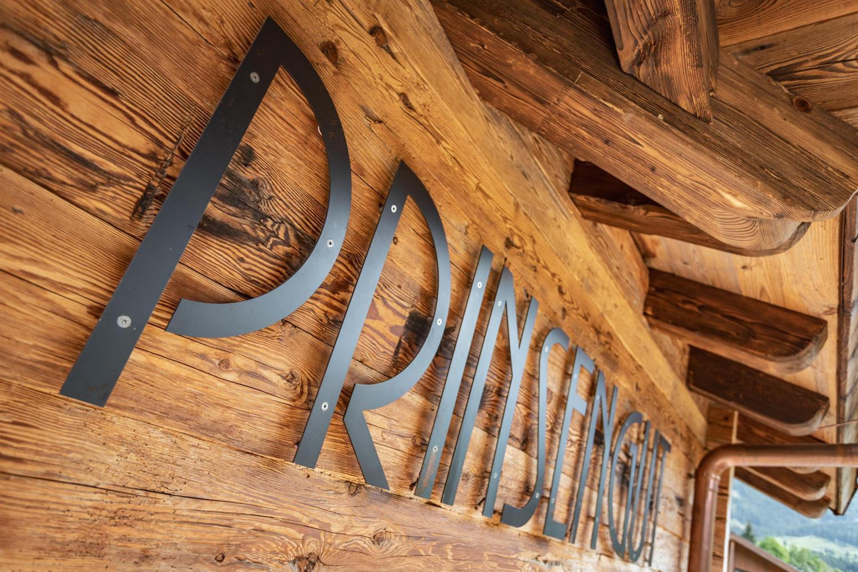 Alpenchalet Prinsengut