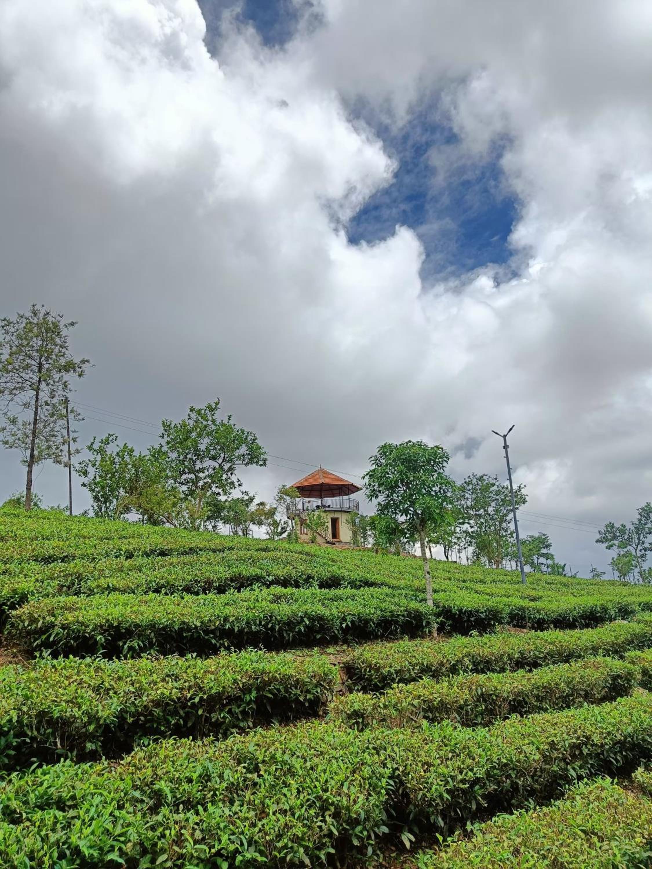Heritage Farm Idukki