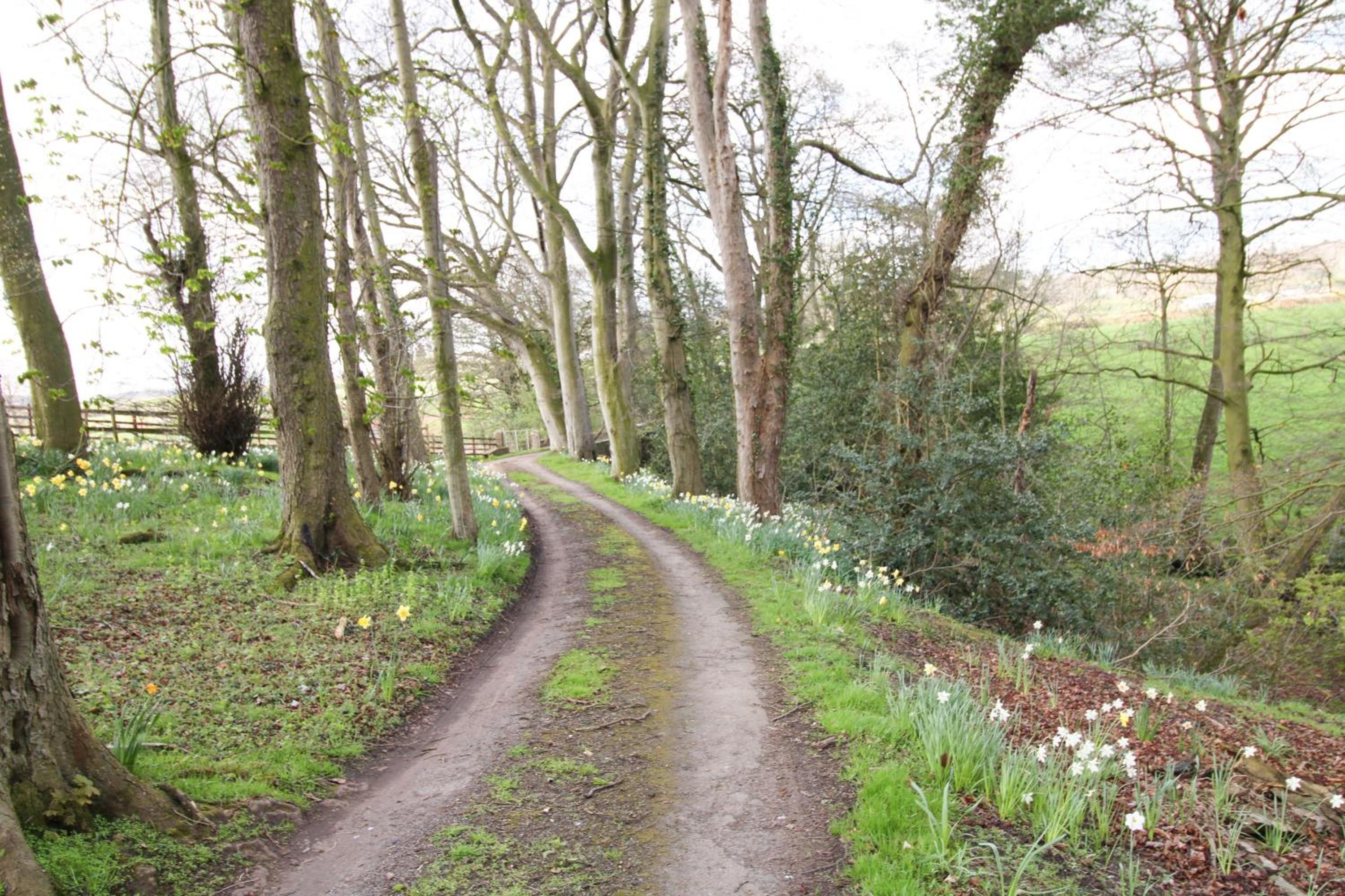 High House Cottage, Southwaite in a rural setting with garden, BBQ & hot tub