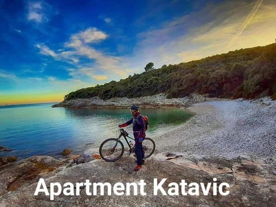 Apartment Katavić