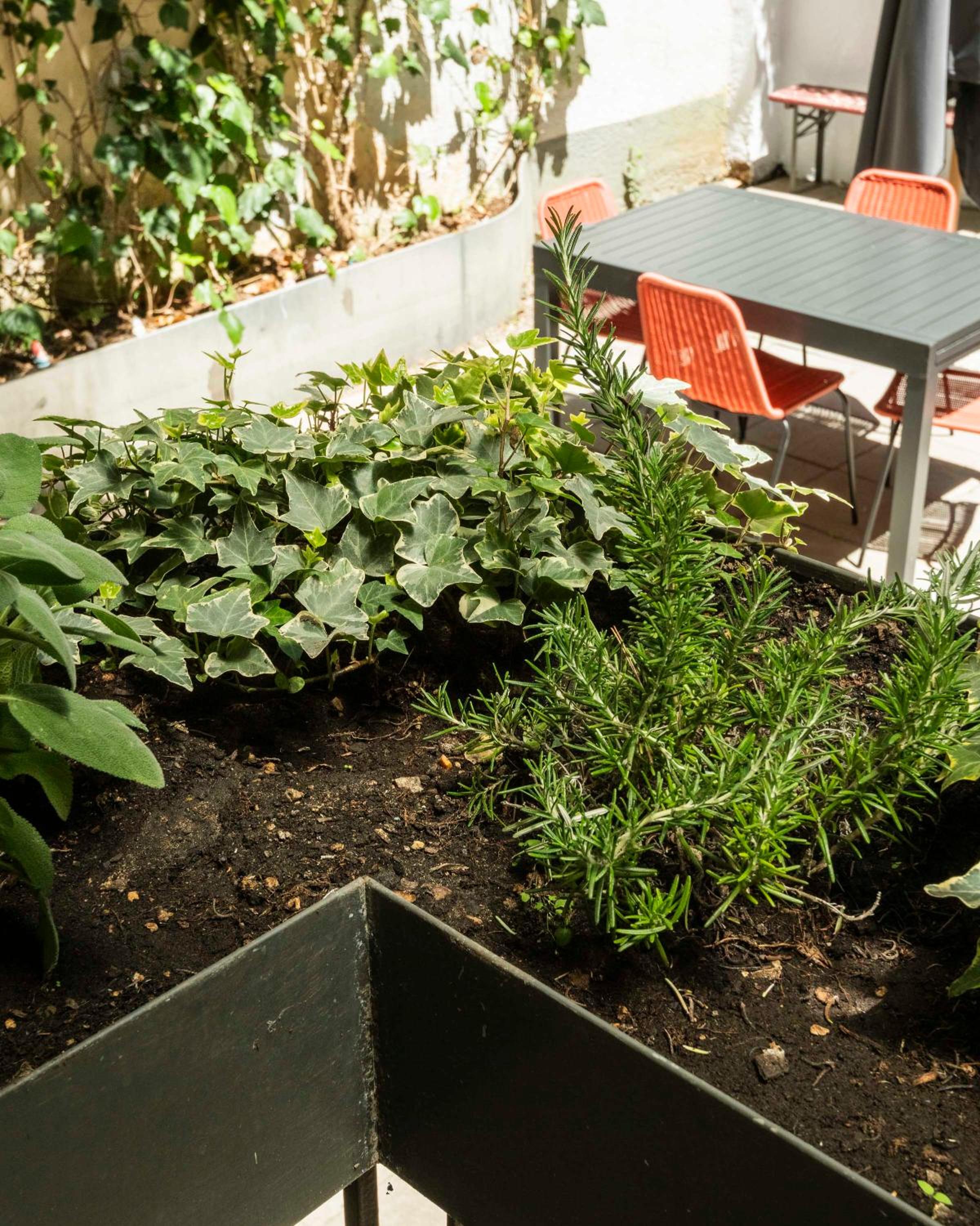 Piazza Cavour Zen Garden-ZEN36