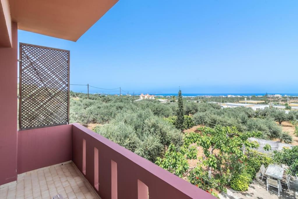 Olivegarden Cottage near the Beach view 3