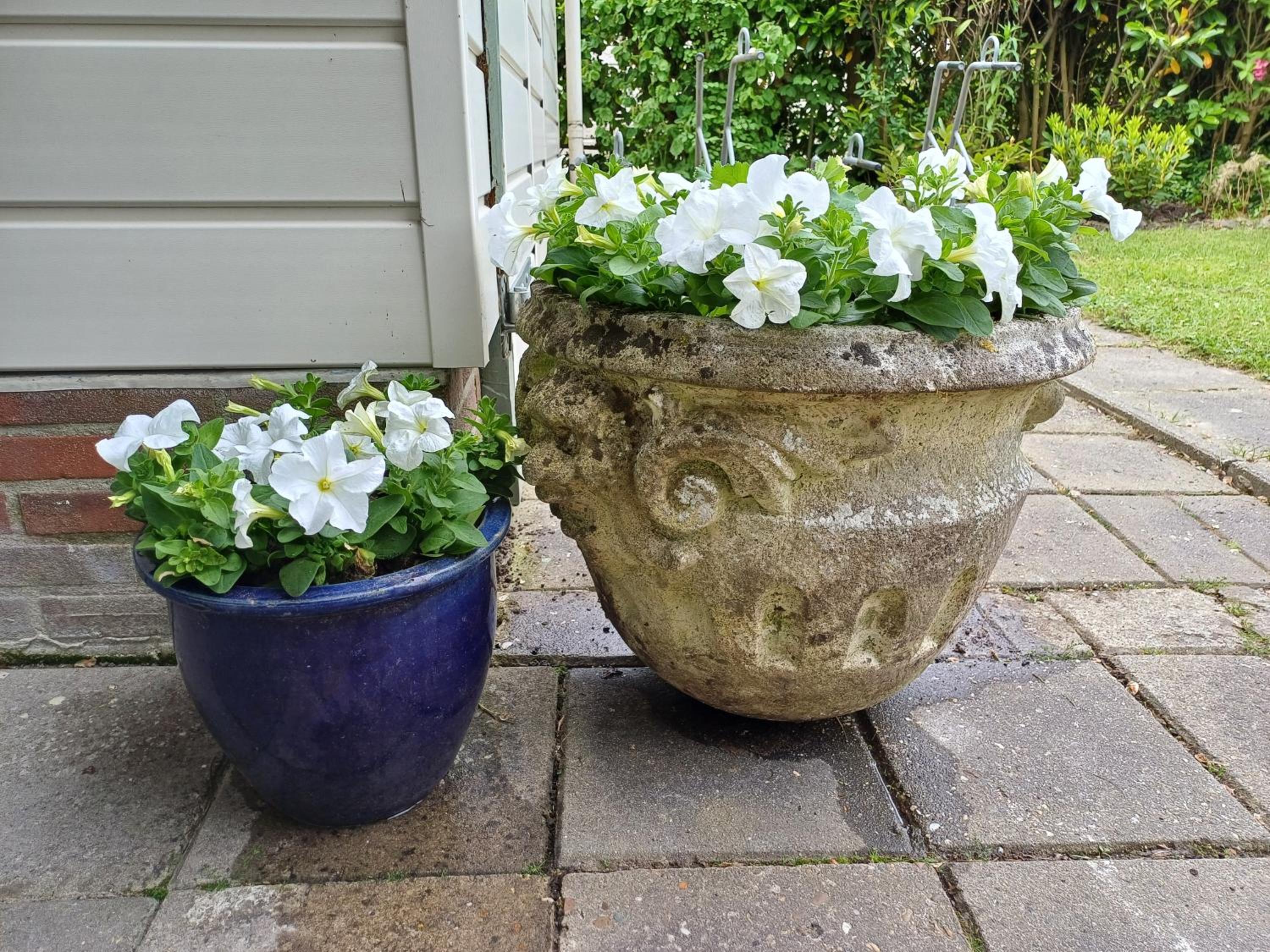 Vrije Vogels tuin met privacy
