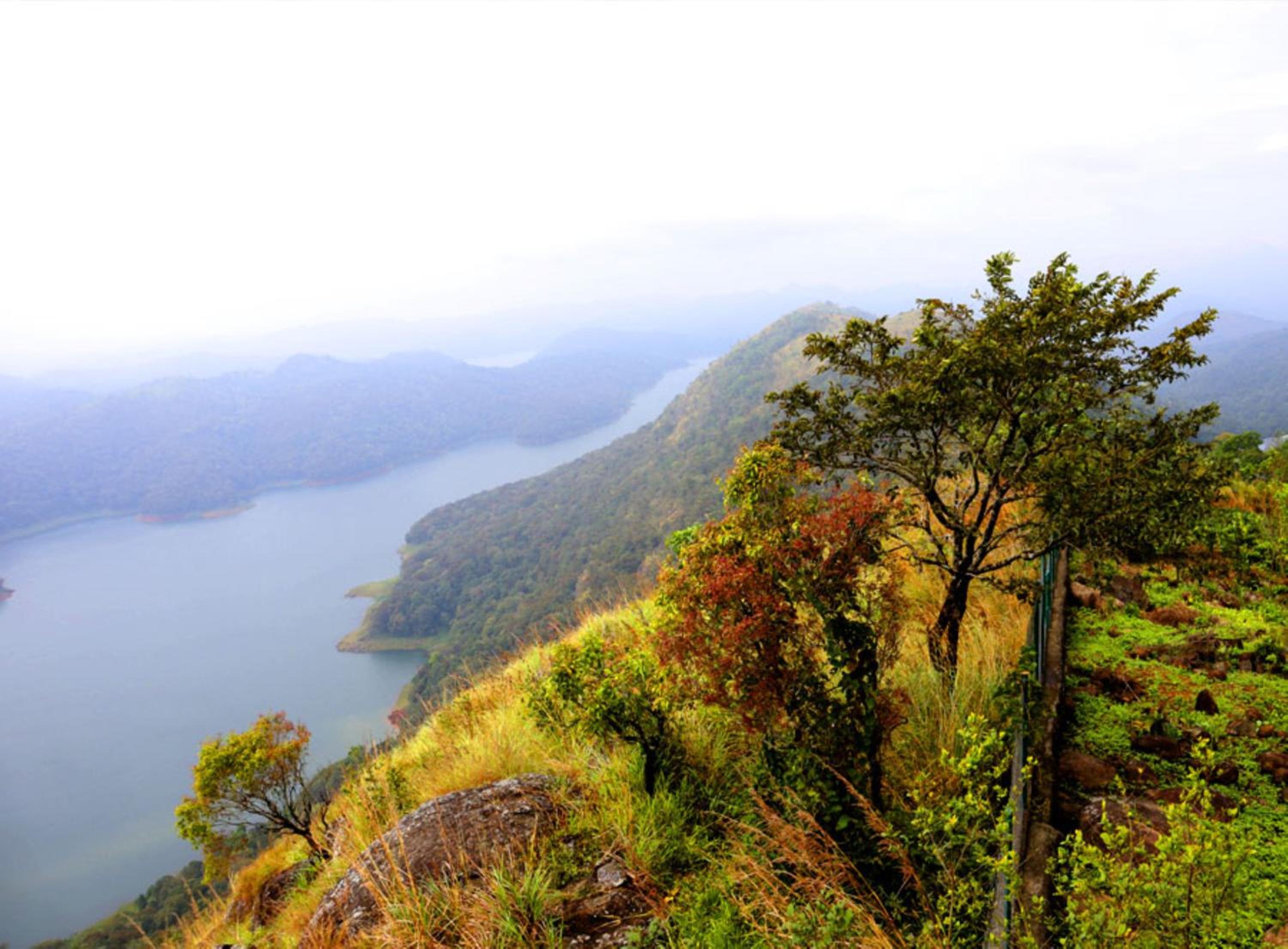 Heritage Farm Idukki