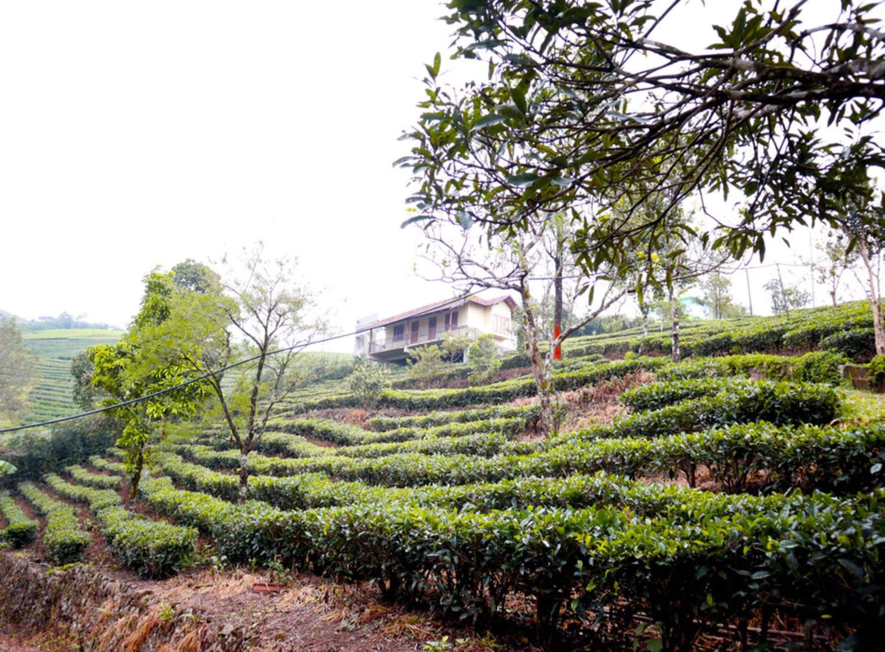 Heritage Farm Idukki