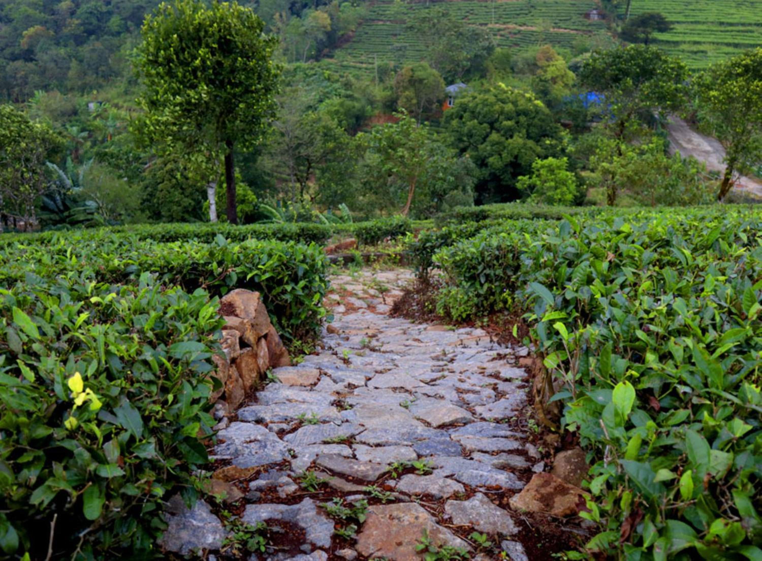 Heritage Farm Idukki