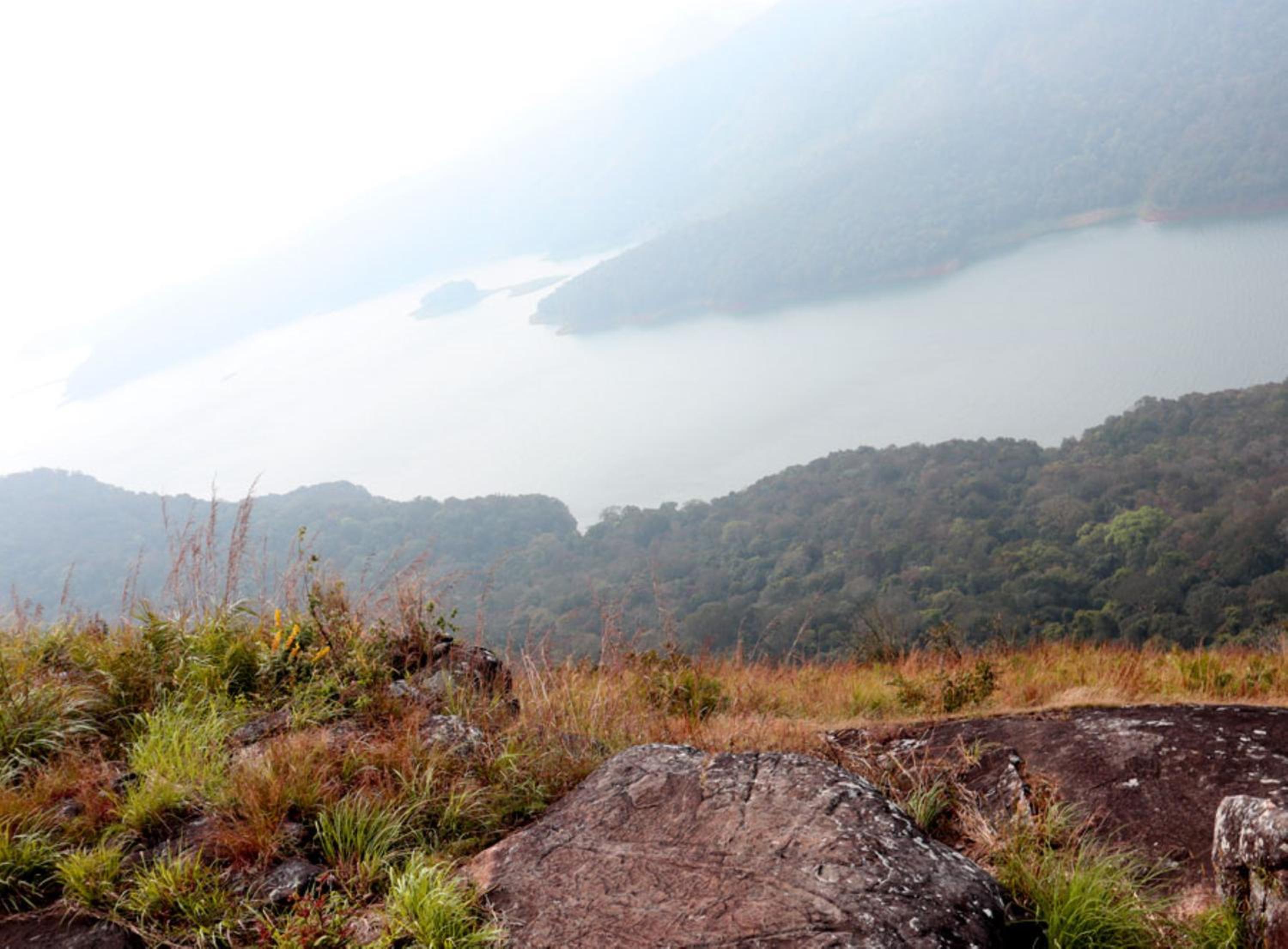 Heritage Farm Idukki