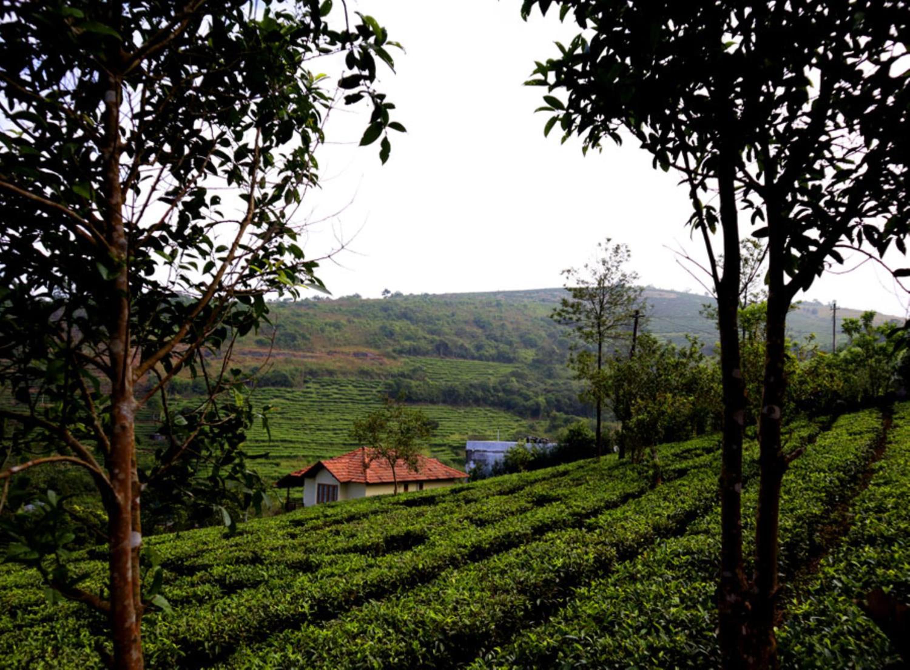 Heritage Farm Idukki