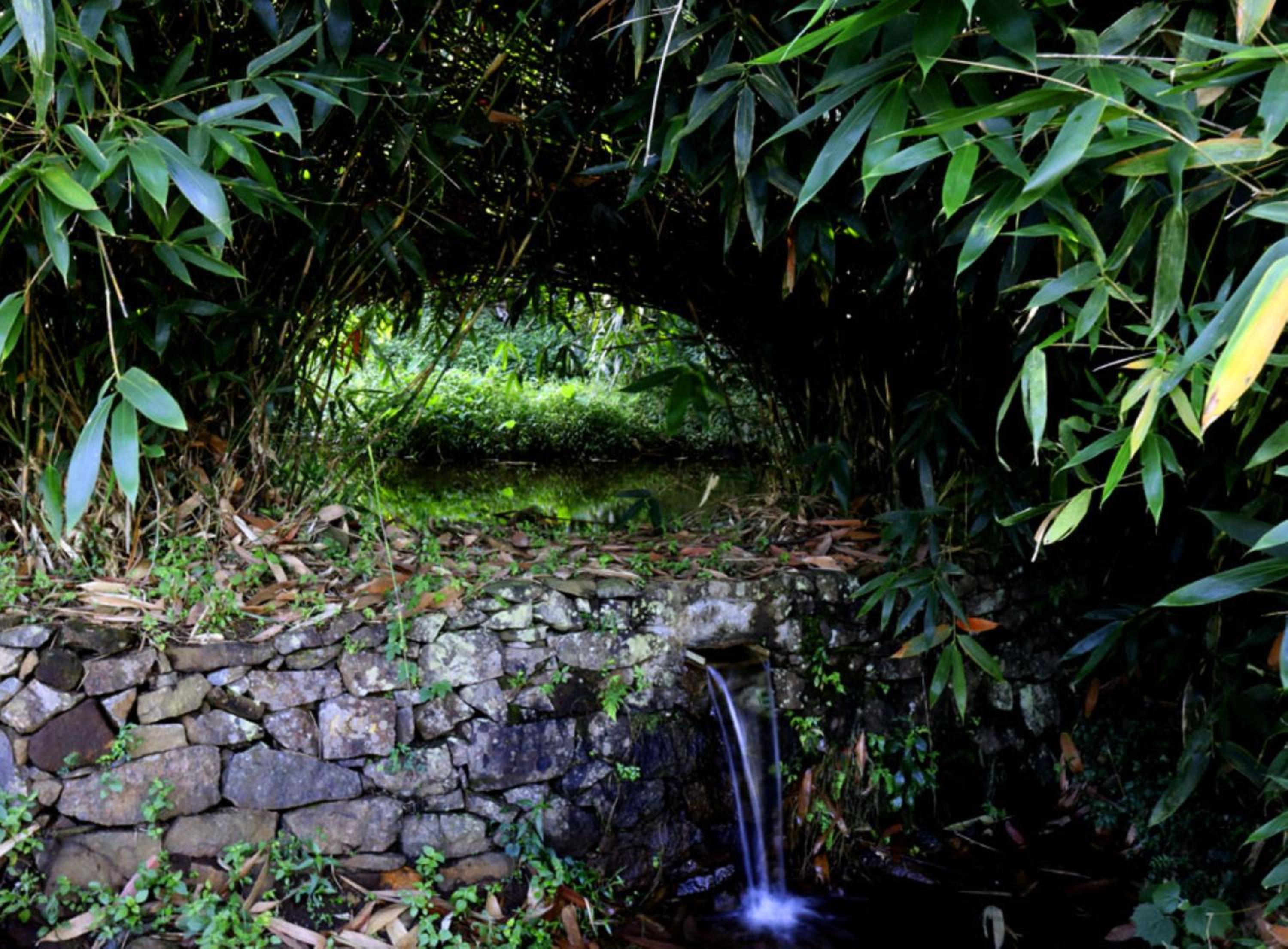 Heritage Farm Idukki