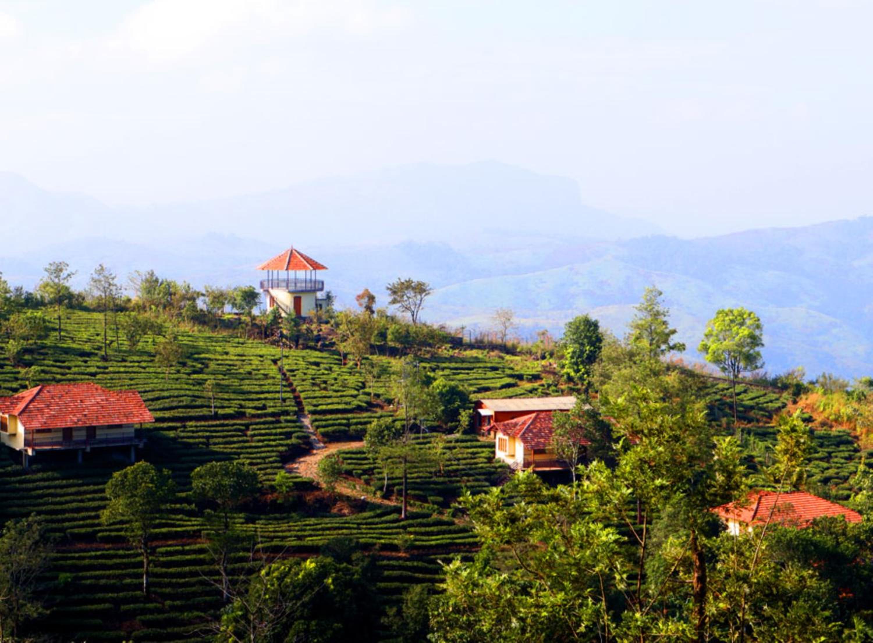 Heritage Farm Idukki