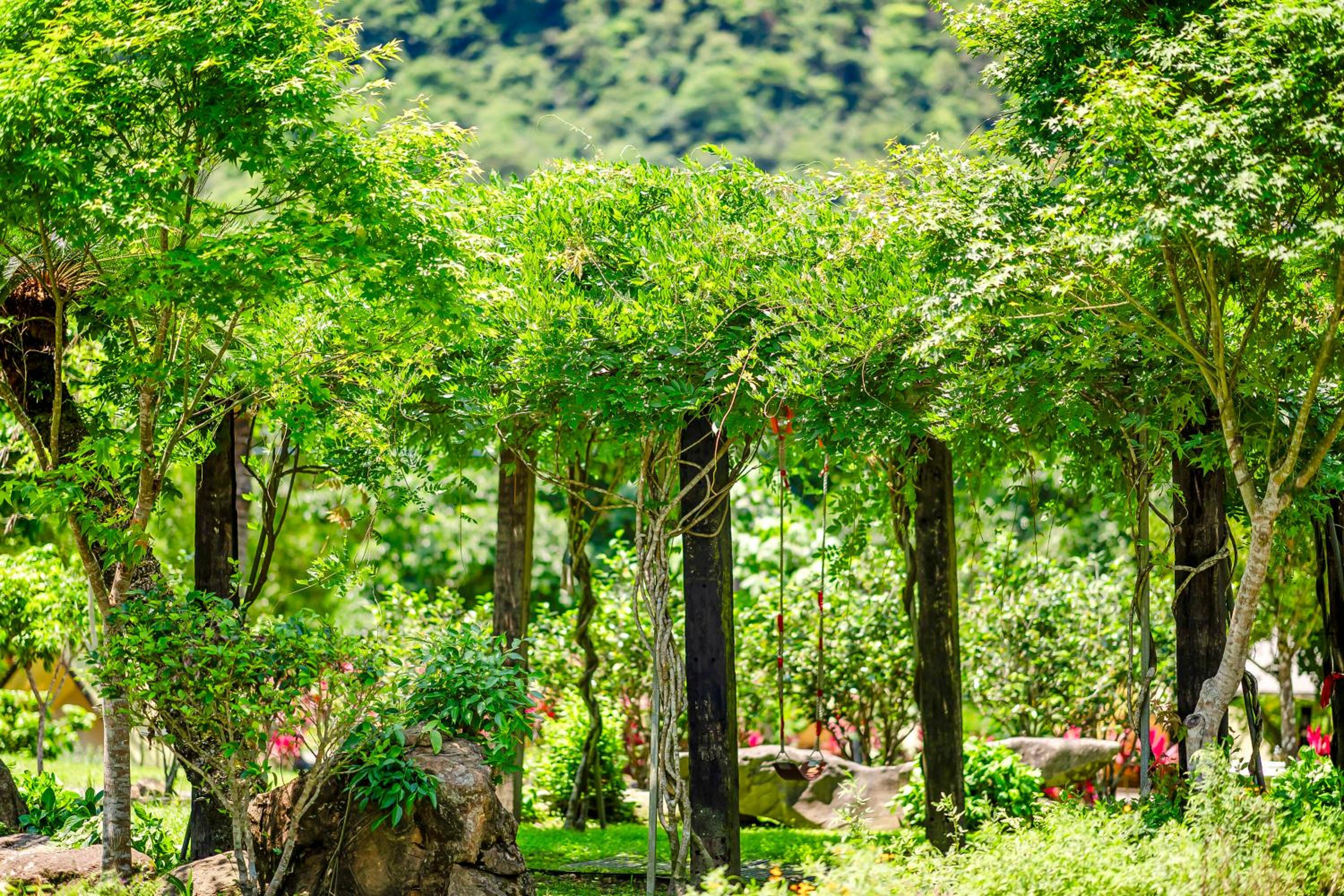 Photo 93