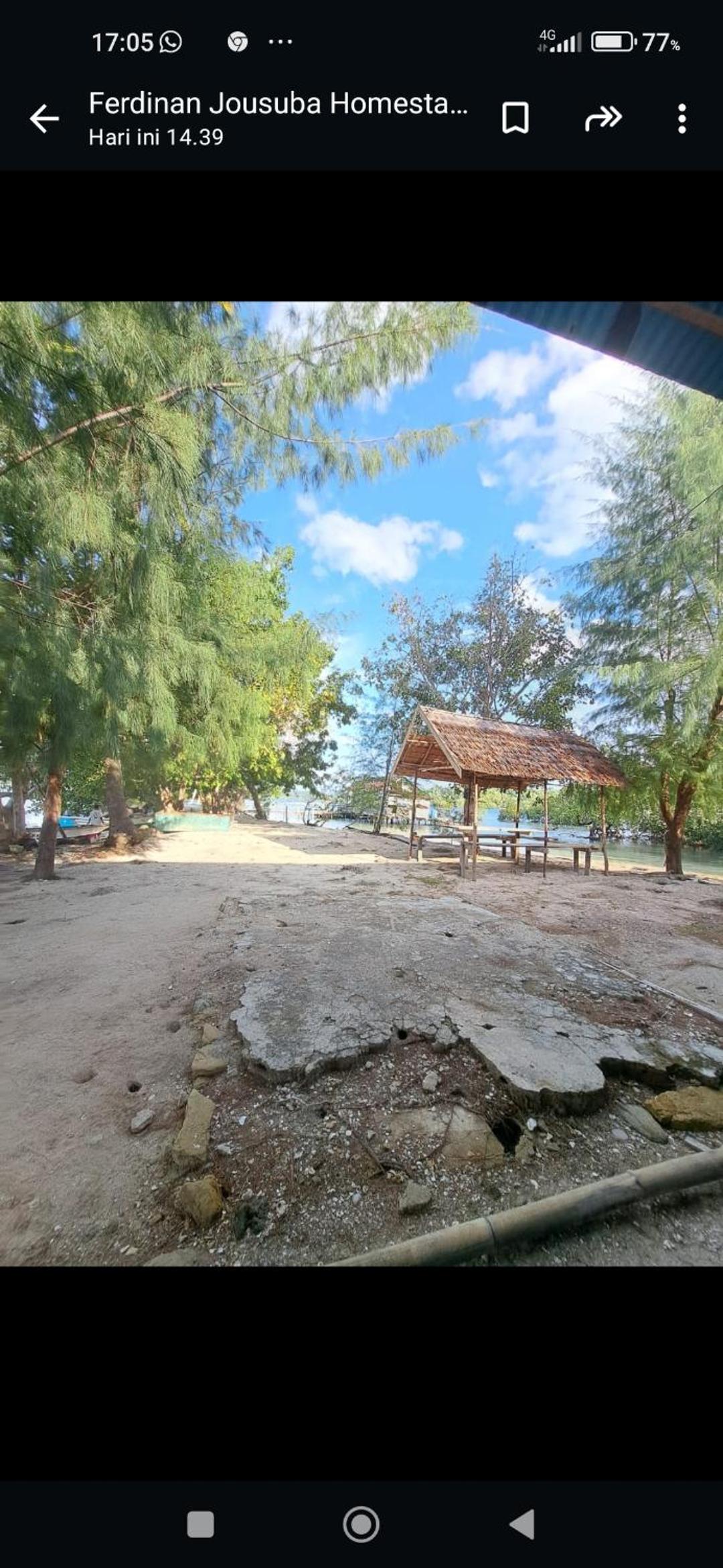 Misool Dayef Homestay