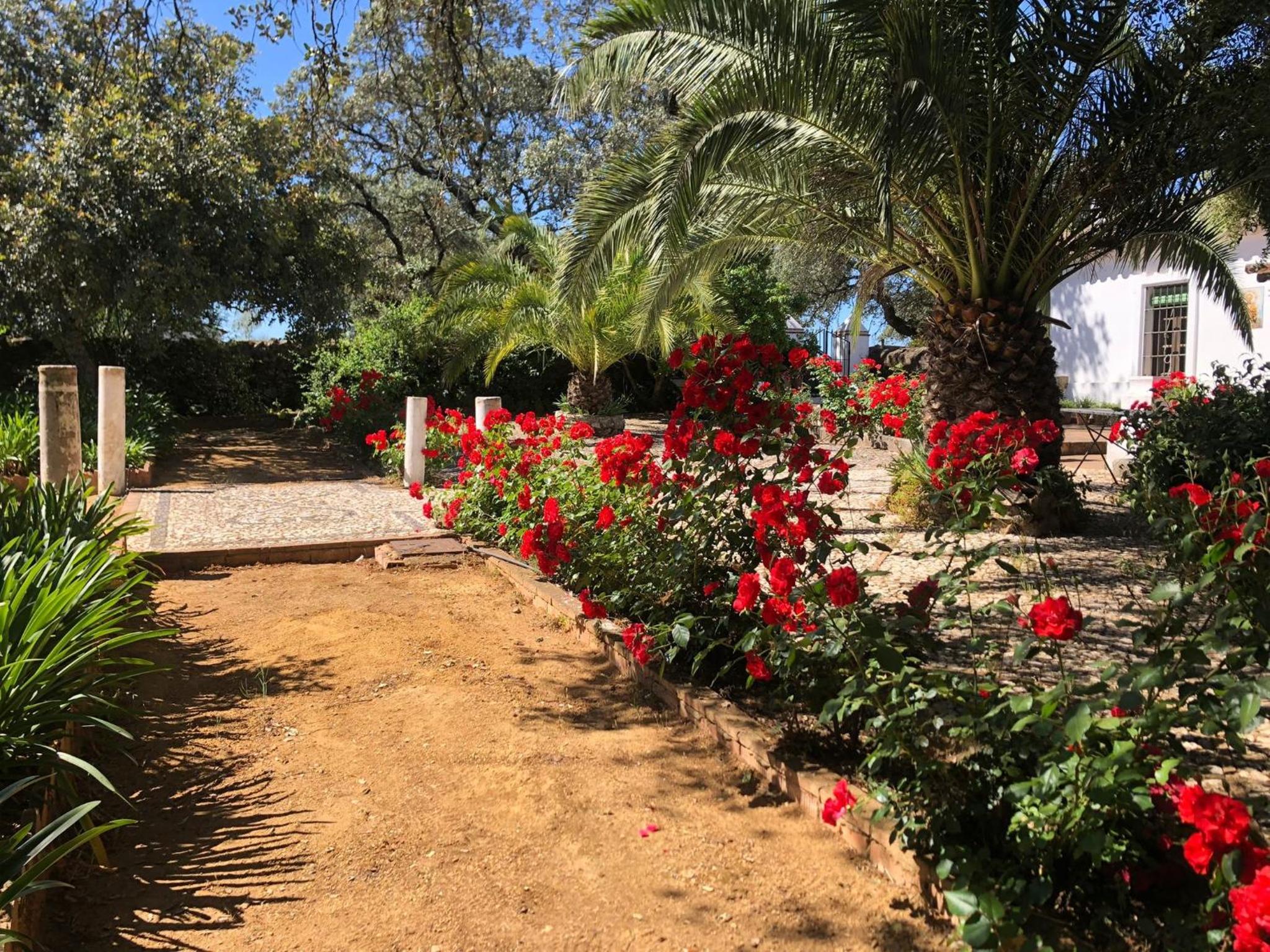 Finca Las Mesas, Cumbres Mayores