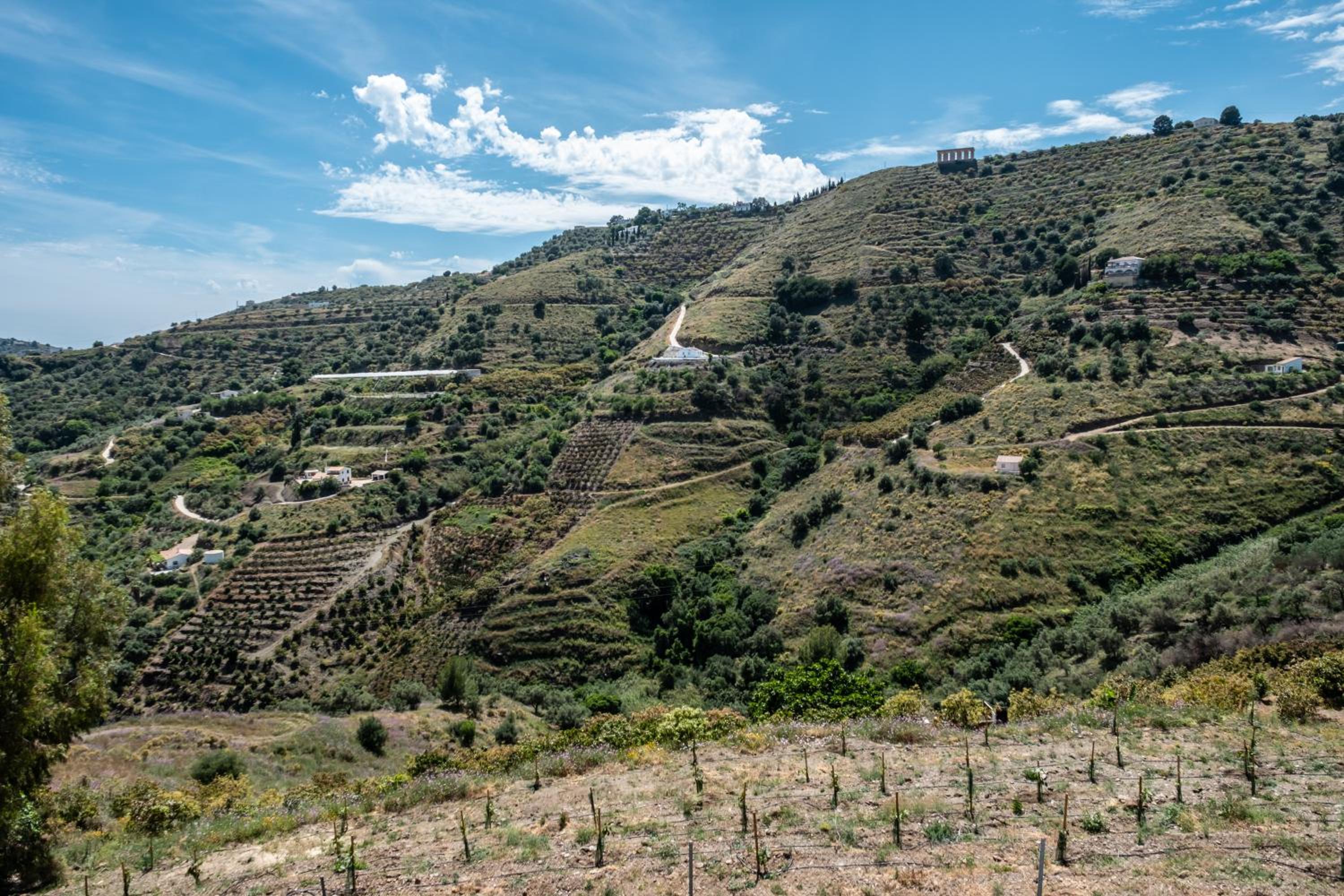 Cortijo Sergio