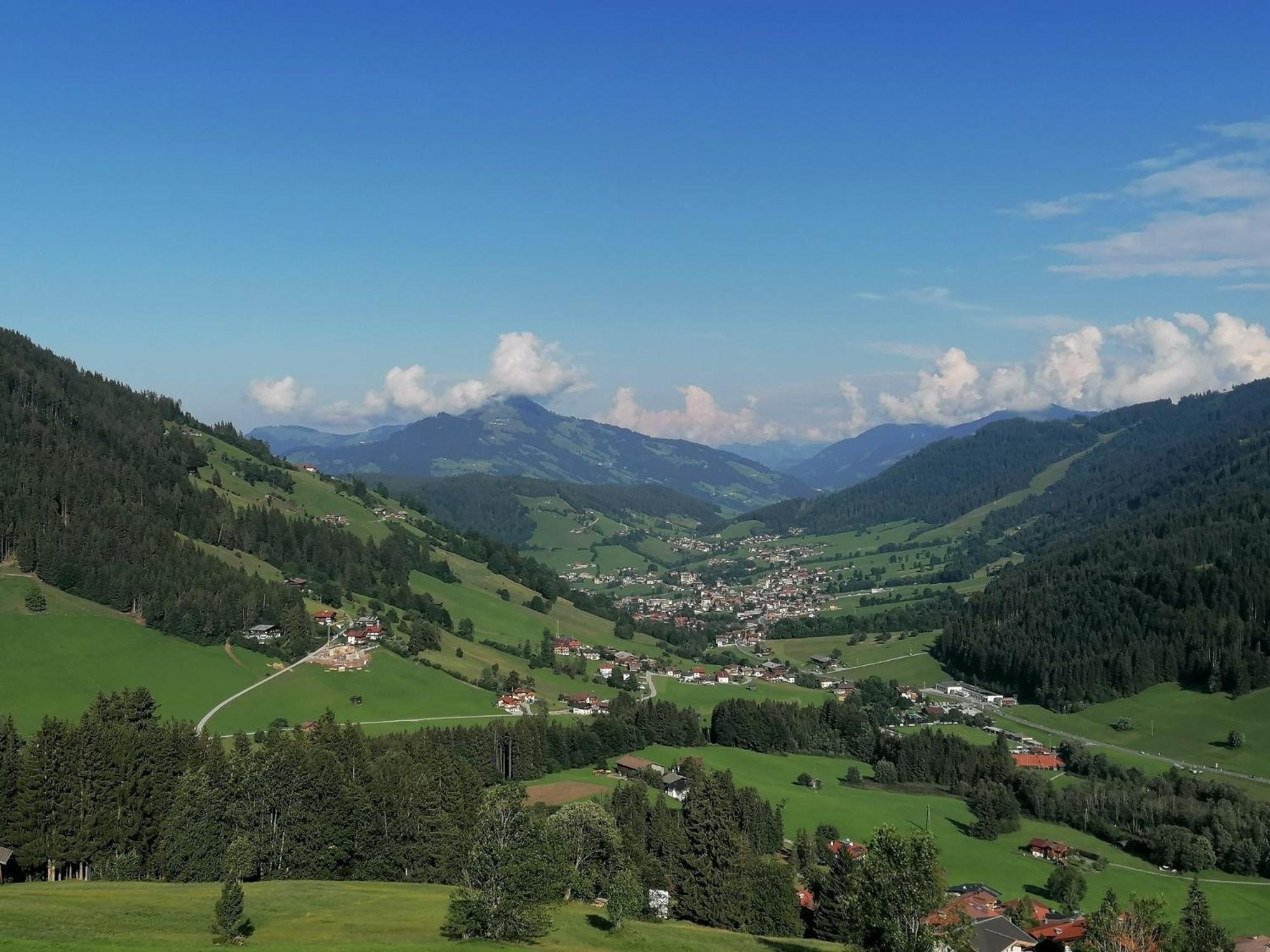 Ferienwohnung in Panorama Alleinlage Kitzbüheler AlpenWILD63 by FeWo-Plan