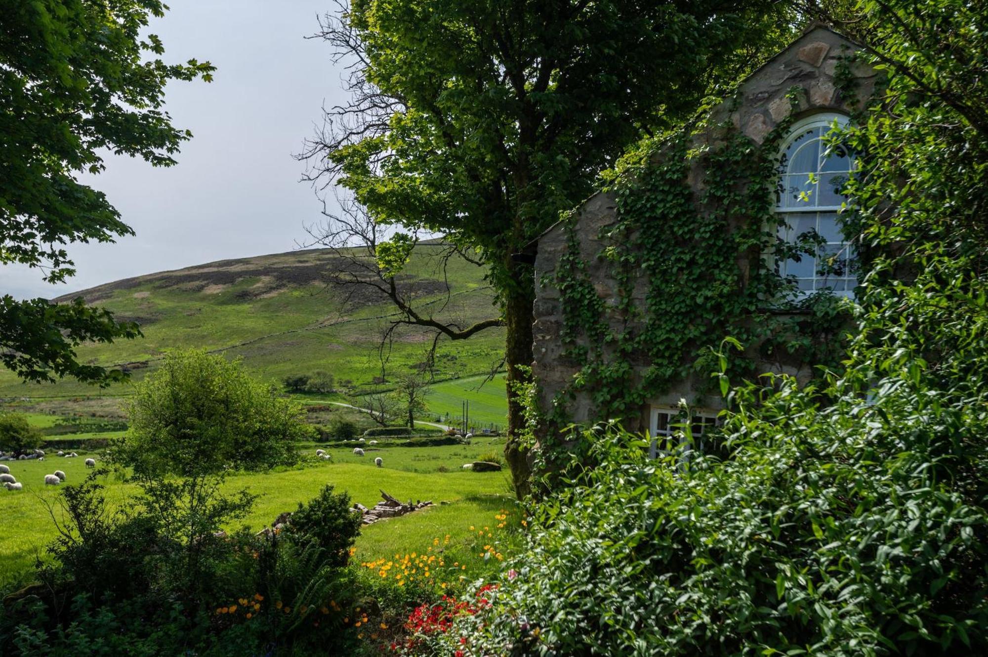 Mountain Cottage