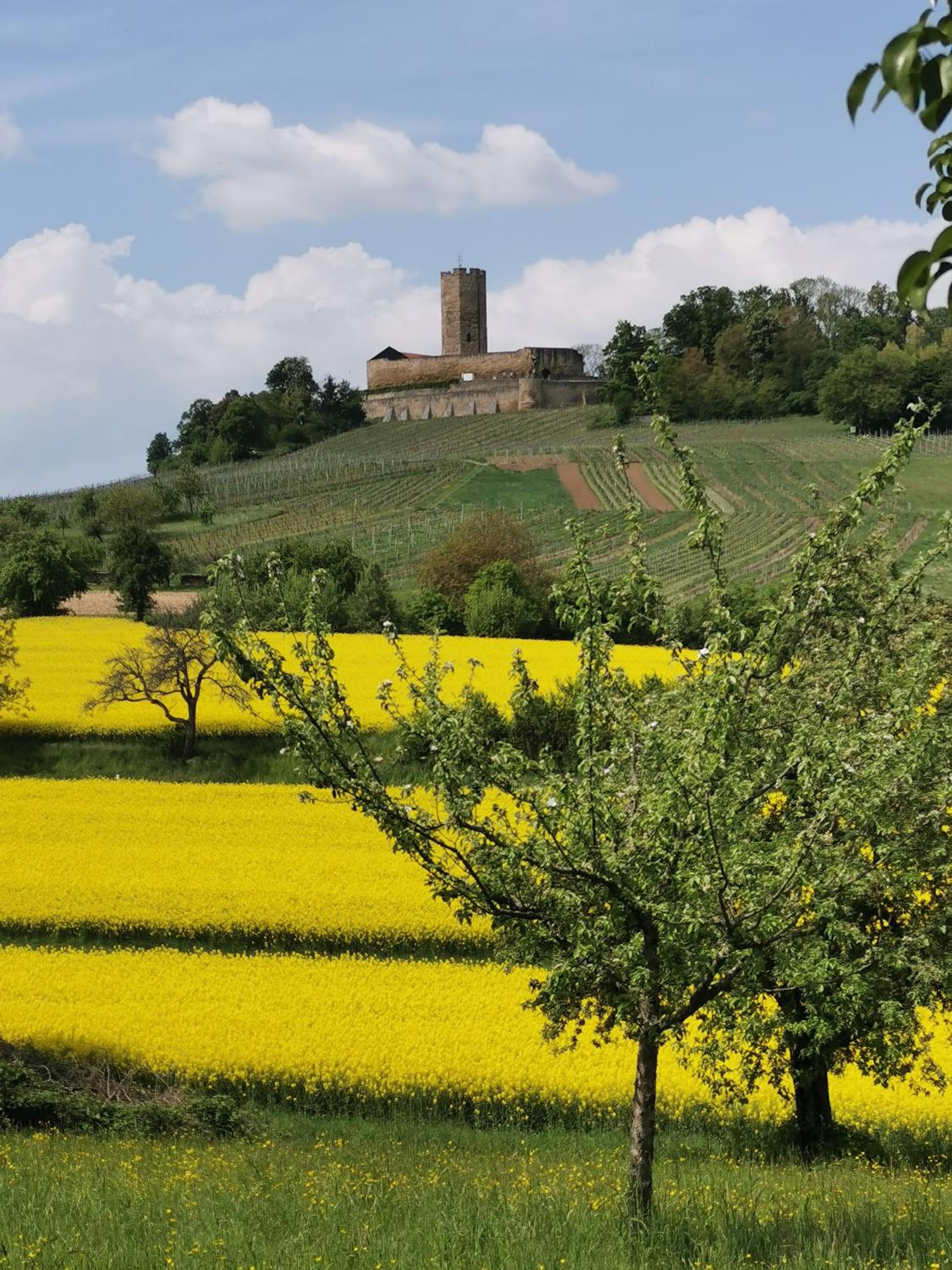 Im Herzen des Kraichgaus 2
