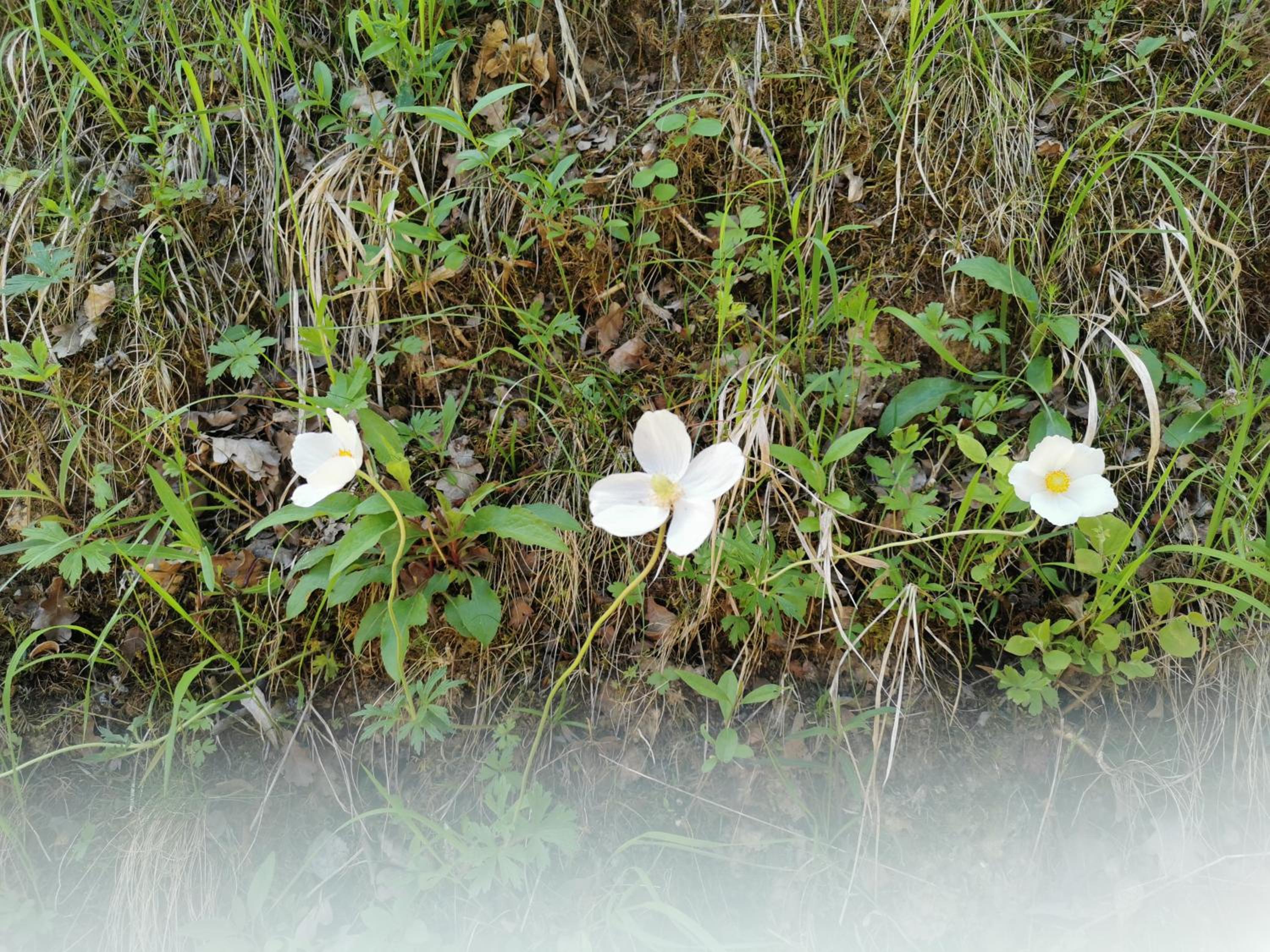 Im Herzen des Kraichgaus 2