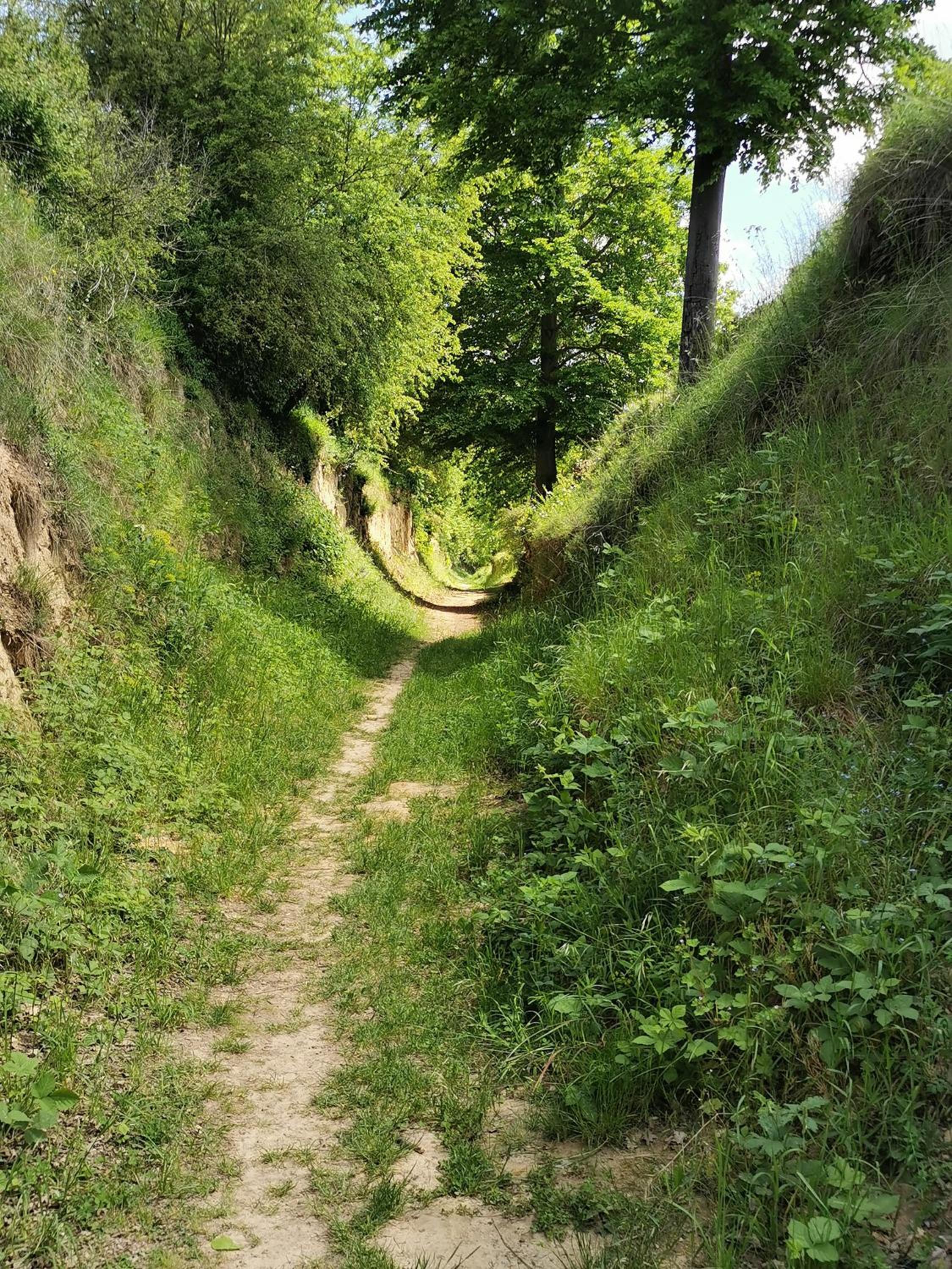 Im Herzen des Kraichgaus 2