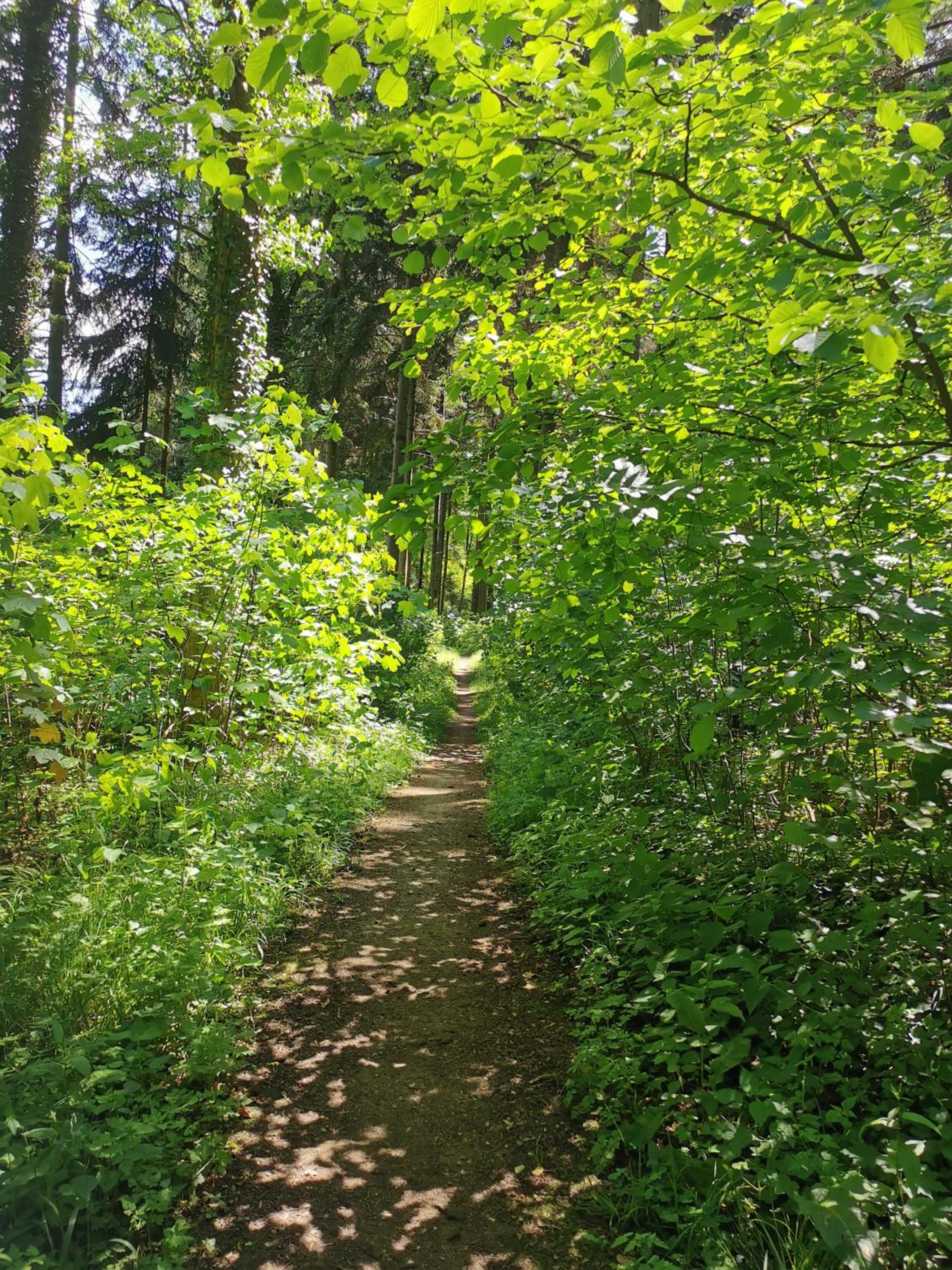 Im Herzen des Kraichgaus 2