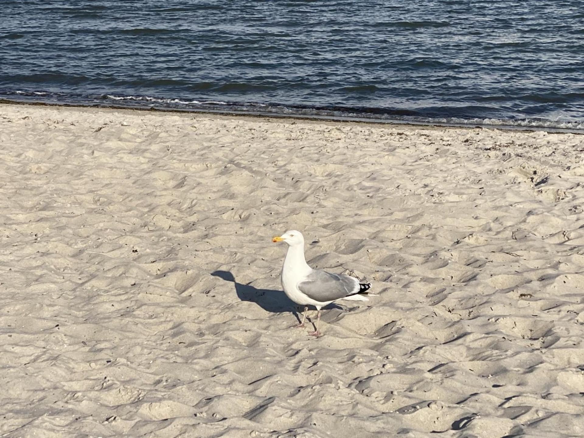 Ostseeresidenz 04