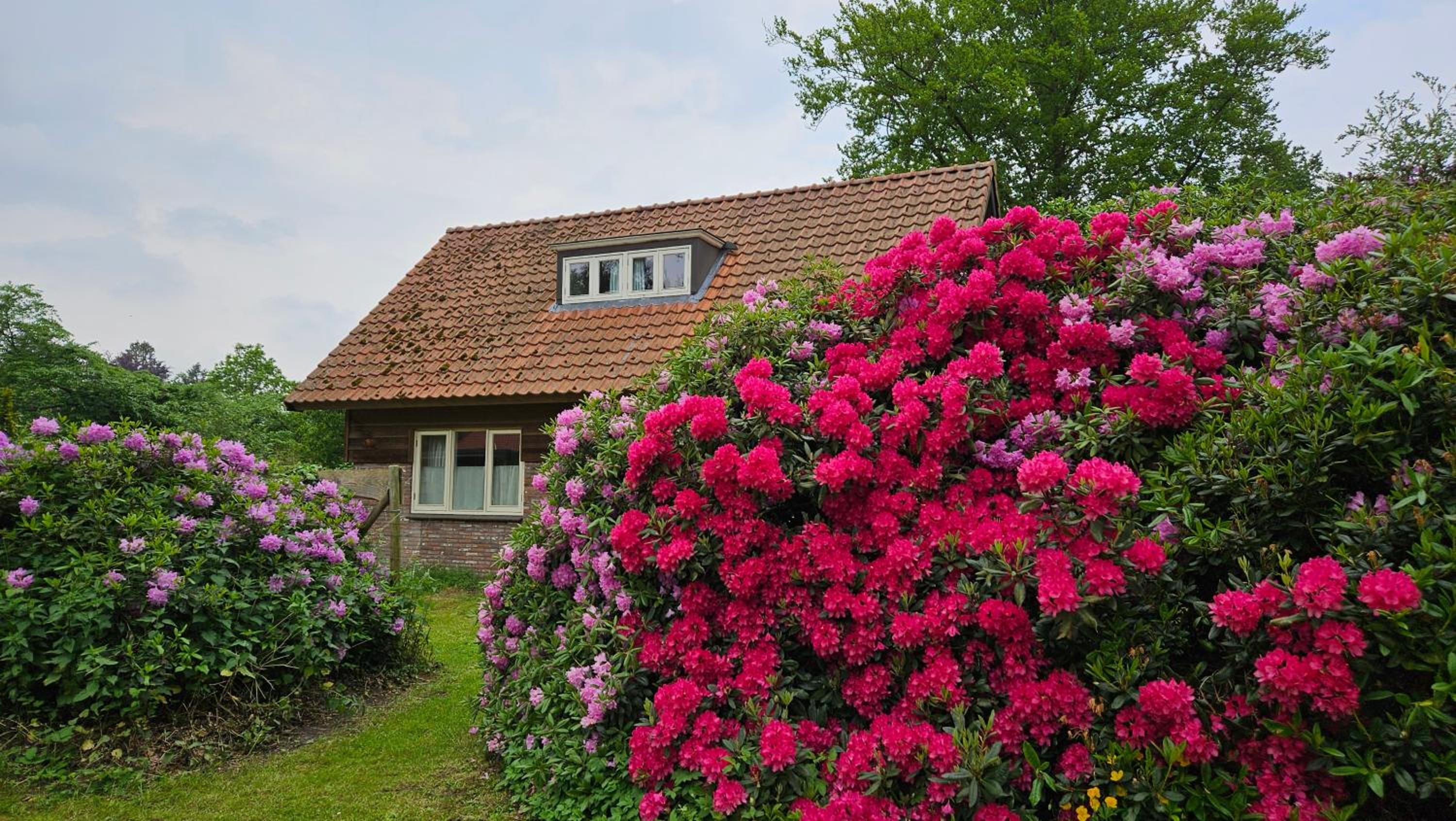 Holiday Home Countryside, Langbroek / Doorn view 3