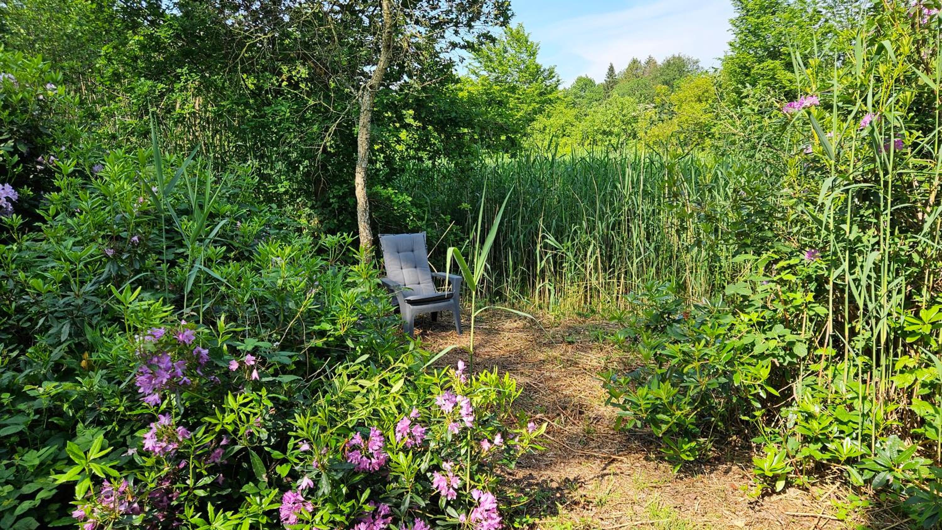 Holiday Home Countryside, Langbroek / Doorn view 2