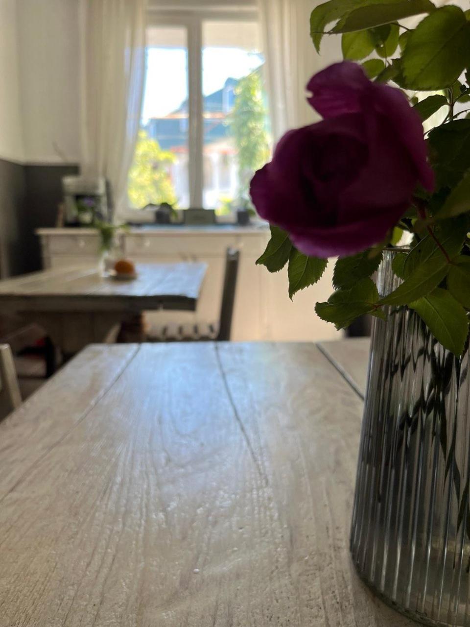 Guest house Junona