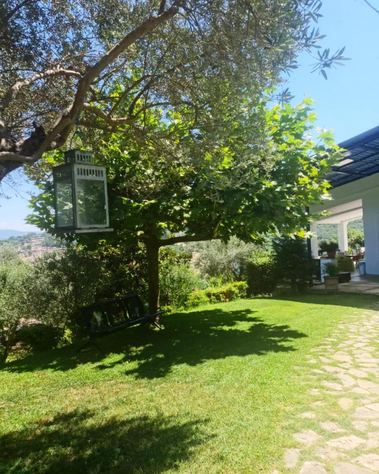 Top privacy Eco Villa Villa 2026 TEG hill,best in Tirana with no neighbours