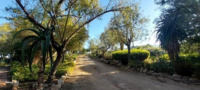 Photo 66