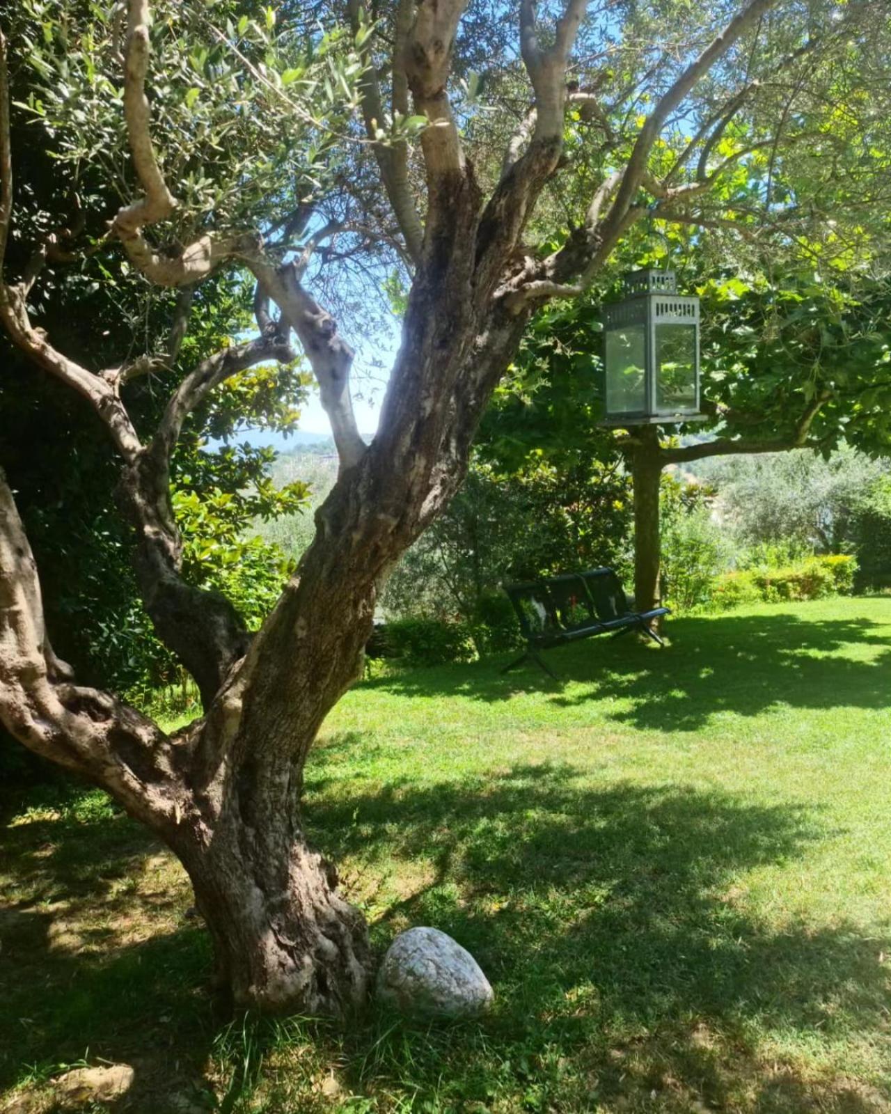 Top privacy Eco Villa Villa 2026 TEG hill,best in Tirana with no neighbours