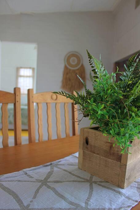 Beach Bungalow No 13 - Salted Fynbos Staying view 4