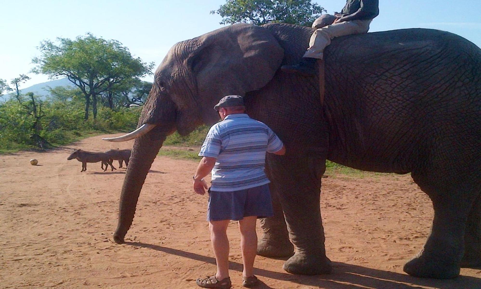 Wielewaal Bush Lodge