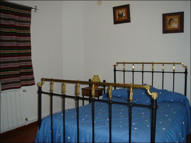Encina de Lorenzo II y III view 3