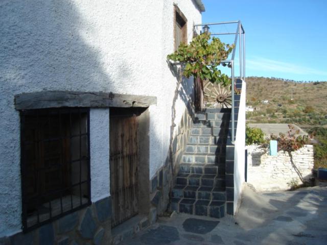 Encina de Lorenzo II y III view 4